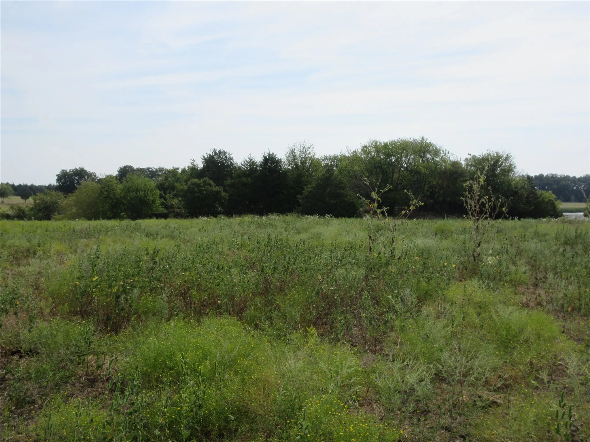 Improved Land For Sale in Hunt County , 7060 Private Road 1159, Leonard, Texas 75452, 0, 0, Garage spaces, 0 Sqft, built in 1988, mls#21398615, Real Estate Agent in Leonard, Homes For Sale in Hunt county, Homes For Sale in Leonard, Realtor in Leonard Texas, Real Estate Brokerage Independent Realty Texas, Luminita Cordes Realtor