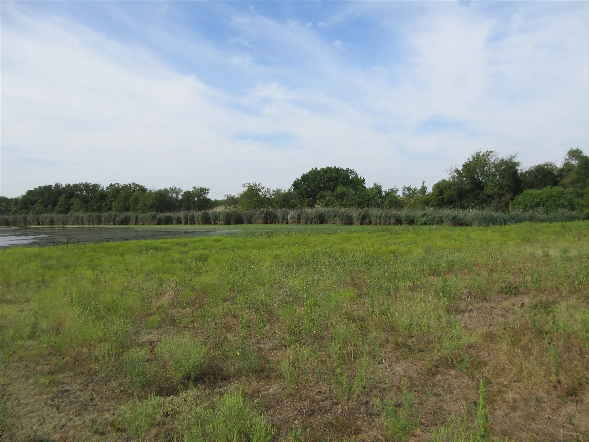 Improved Land For Sale in Hunt County , 7060 Private Road 1159, Leonard, Texas 75452, 0, 0, Garage spaces, 0 Sqft, built in 1988, mls#21398615, Real Estate Agent in Leonard, Homes For Sale in Hunt county, Homes For Sale in Leonard, Realtor in Leonard Texas, Real Estate Brokerage Independent Realty Texas, Luminita Cordes Realtor
