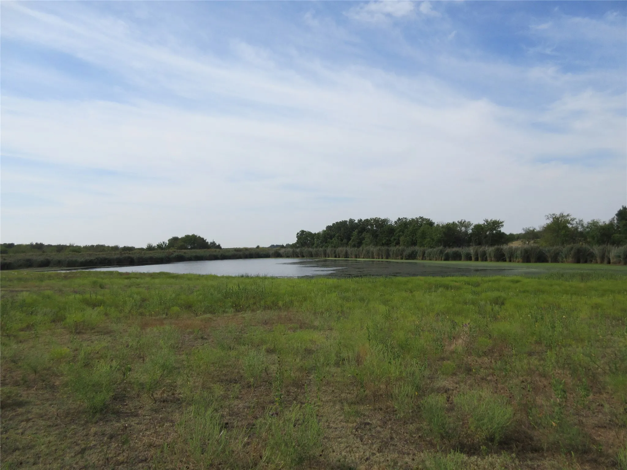 Improved Land For Sale in Hunt County , 7060 Private Road 1159, Leonard, Texas 75452, 0, 0, Garage spaces, 0 Sqft, built in 1988, mls#21398615, Real Estate Agent in Leonard, Homes For Sale in Hunt county, Homes For Sale in Leonard, Realtor in Leonard Texas, Real Estate Brokerage Independent Realty Texas, Luminita Cordes Realtor