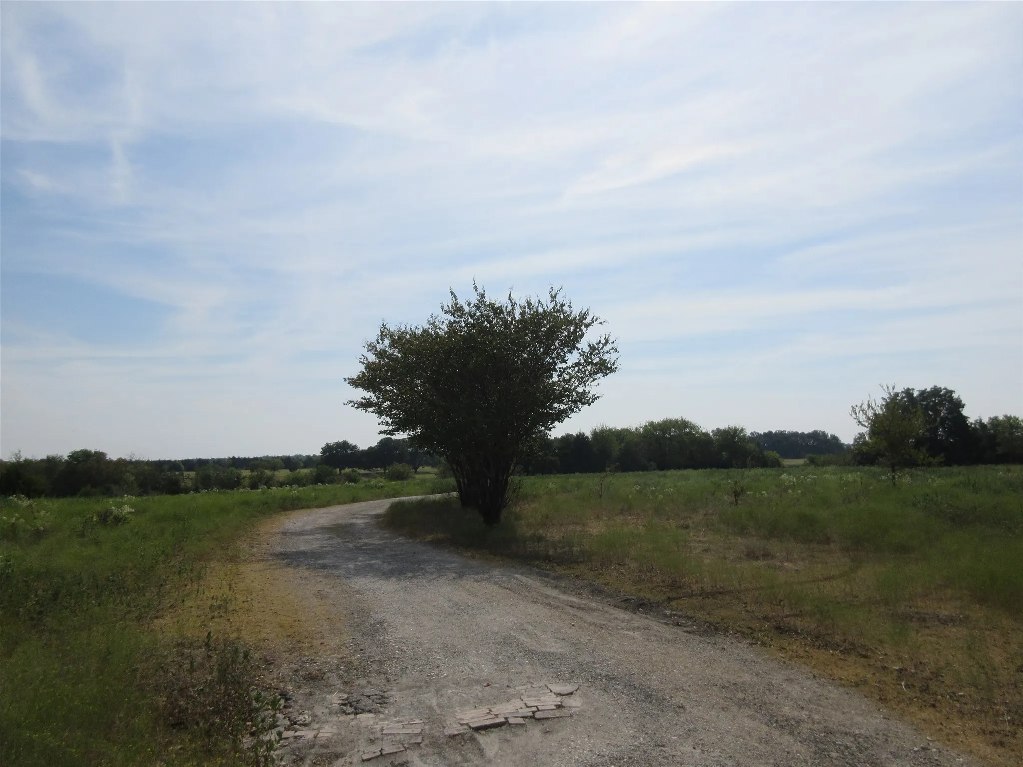 Improved Land For Sale in Hunt County , 7060 Private Road 1159, Leonard, Texas 75452, 0, 0, Garage spaces, 0 Sqft, built in 1988, mls#21398615, Real Estate Agent in Leonard, Homes For Sale in Hunt county, Homes For Sale in Leonard, Realtor in Leonard Texas, Real Estate Brokerage Independent Realty Texas, Luminita Cordes Realtor