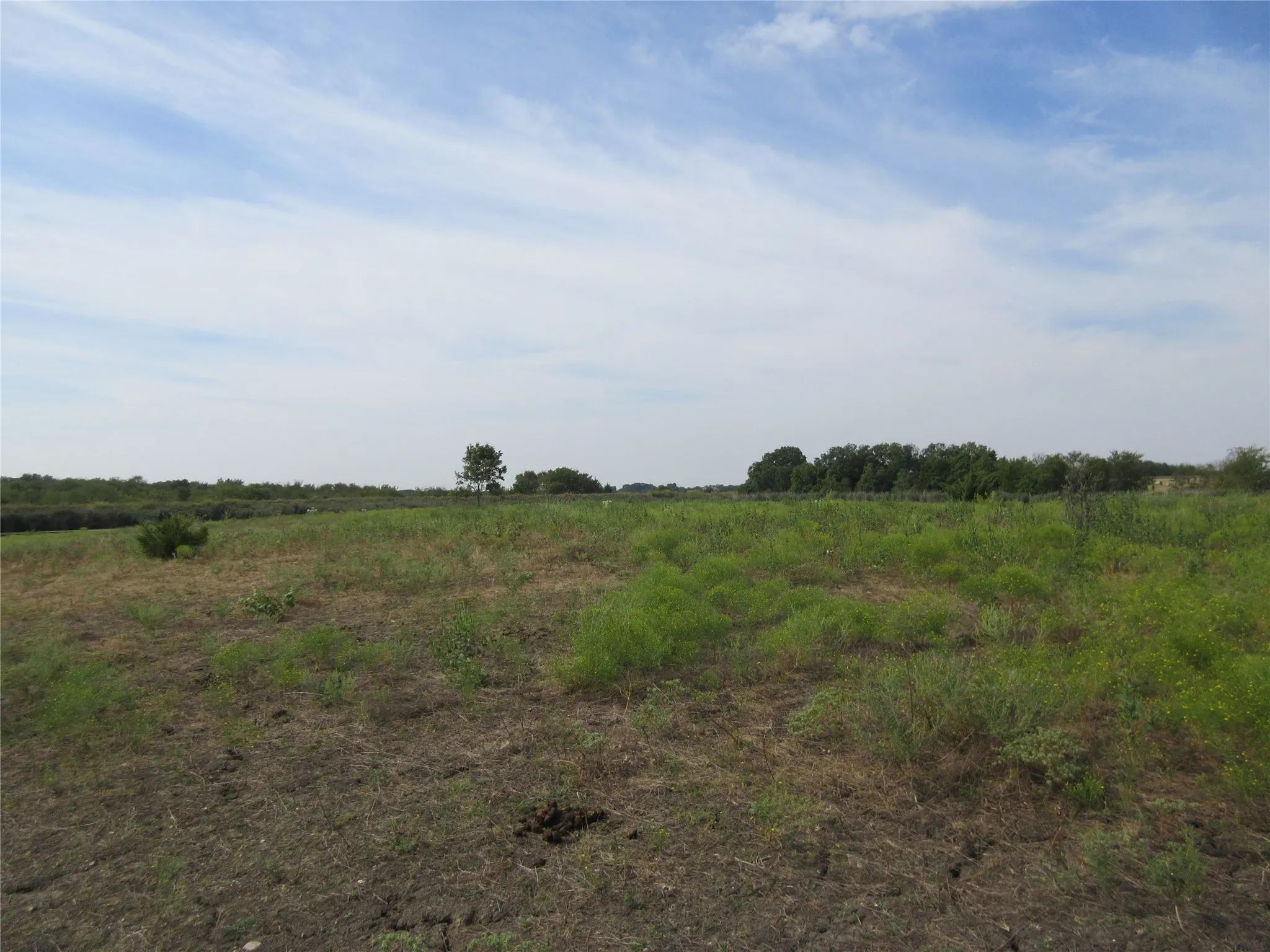Improved Land For Sale in Hunt County , 7060 Private Road 1159, Leonard, Texas 75452, 0, 0, Garage spaces, 0 Sqft, built in 1988, mls#21398615, Real Estate Agent in Leonard, Homes For Sale in Hunt county, Homes For Sale in Leonard, Realtor in Leonard Texas, Real Estate Brokerage Independent Realty Texas, Luminita Cordes Realtor