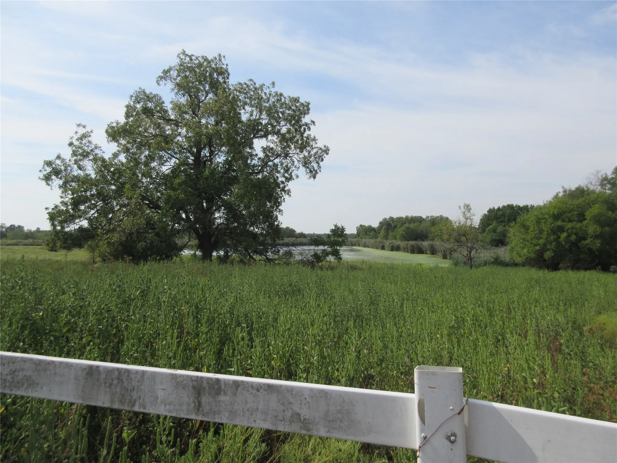 Improved Land For Sale in Hunt County , 7060 Private Road 1159, Leonard, Texas 75452, 0, 0, Garage spaces, 0 Sqft, built in 1988, mls#21398615, Real Estate Agent in Leonard, Homes For Sale in Hunt county, Homes For Sale in Leonard, Realtor in Leonard Texas, Real Estate Brokerage Independent Realty Texas, Luminita Cordes Realtor