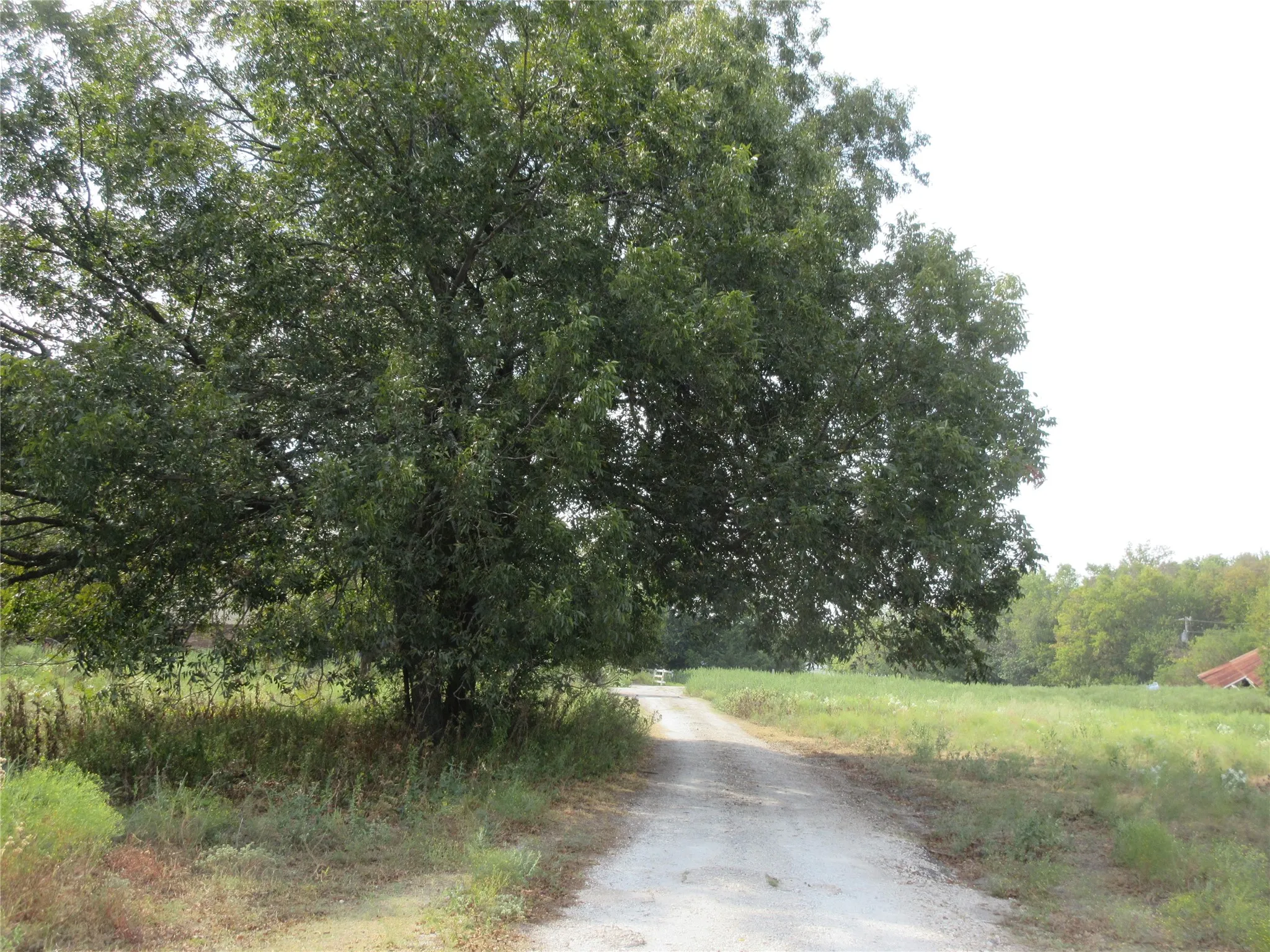 Improved Land For Sale in Hunt County , 7060 Private Road 1159, Leonard, Texas 75452, 0, 0, Garage spaces, 0 Sqft, built in 1988, mls#21398615, Real Estate Agent in Leonard, Homes For Sale in Hunt county, Homes For Sale in Leonard, Realtor in Leonard Texas, Real Estate Brokerage Independent Realty Texas, Luminita Cordes Realtor