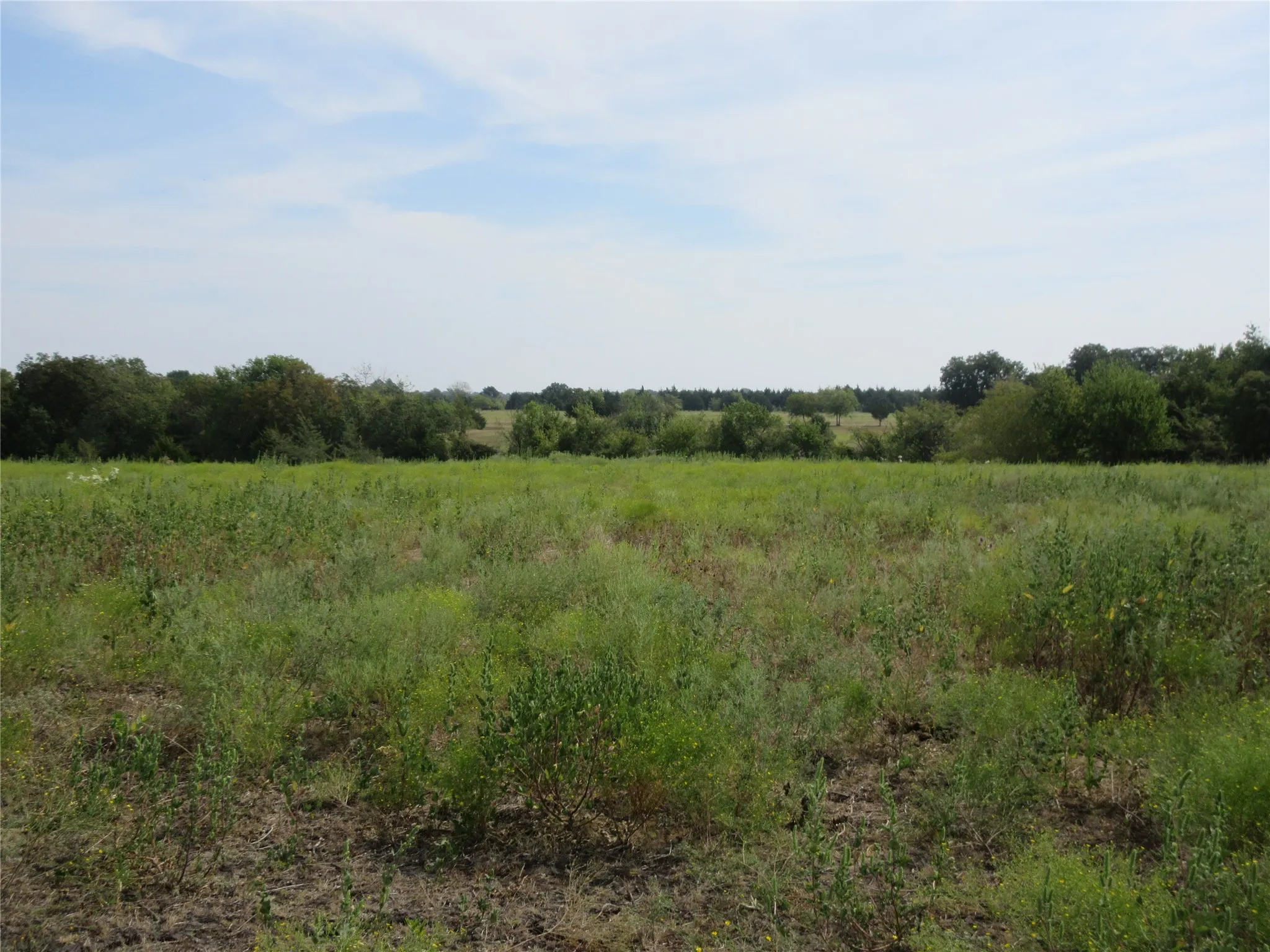 Improved Land For Sale in Hunt County , 7060 Private Road 1159, Leonard, Texas 75452, 0, 0, Garage spaces, 0 Sqft, built in 1988, mls#21398615, Real Estate Agent in Leonard, Homes For Sale in Hunt county, Homes For Sale in Leonard, Realtor in Leonard Texas, Real Estate Brokerage Independent Realty Texas, Luminita Cordes Realtor