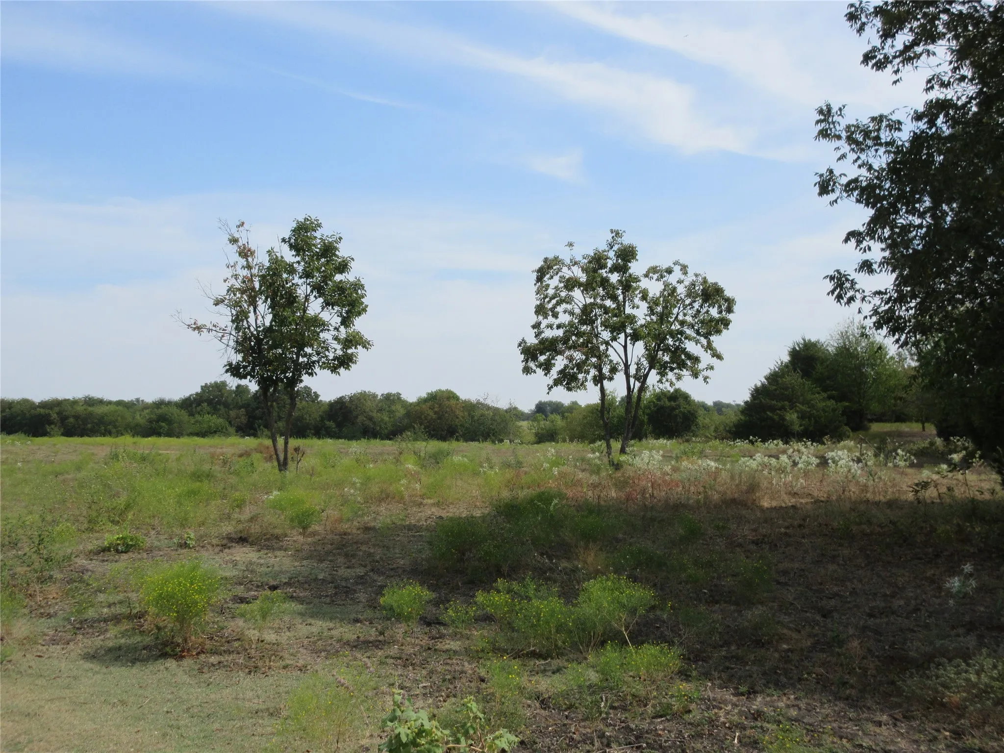 Improved Land For Sale in Hunt County , 7060 Private Road 1159, Leonard, Texas 75452, 0, 0, Garage spaces, 0 Sqft, built in 1988, mls#21398615, Real Estate Agent in Leonard, Homes For Sale in Hunt county, Homes For Sale in Leonard, Realtor in Leonard Texas, Real Estate Brokerage Independent Realty Texas, Luminita Cordes Realtor