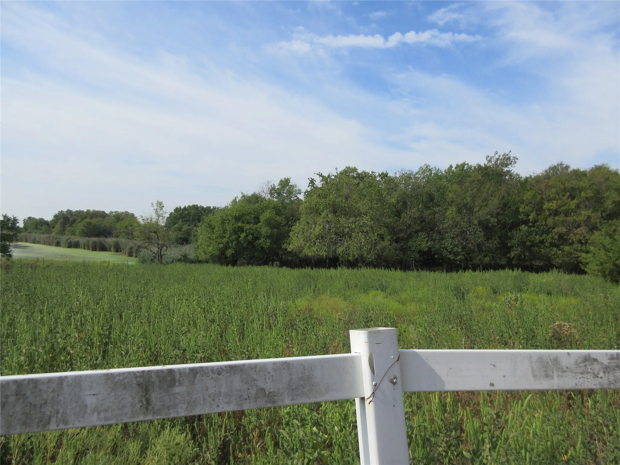Improved Land For Sale in Hunt County , 7060 Private Road 1159, Leonard, Texas 75452, 0, 0, Garage spaces, 0 Sqft, built in 1988, mls#21398615, Real Estate Agent in Leonard, Homes For Sale in Hunt county, Homes For Sale in Leonard, Realtor in Leonard Texas, Real Estate Brokerage Independent Realty Texas, Luminita Cordes Realtor