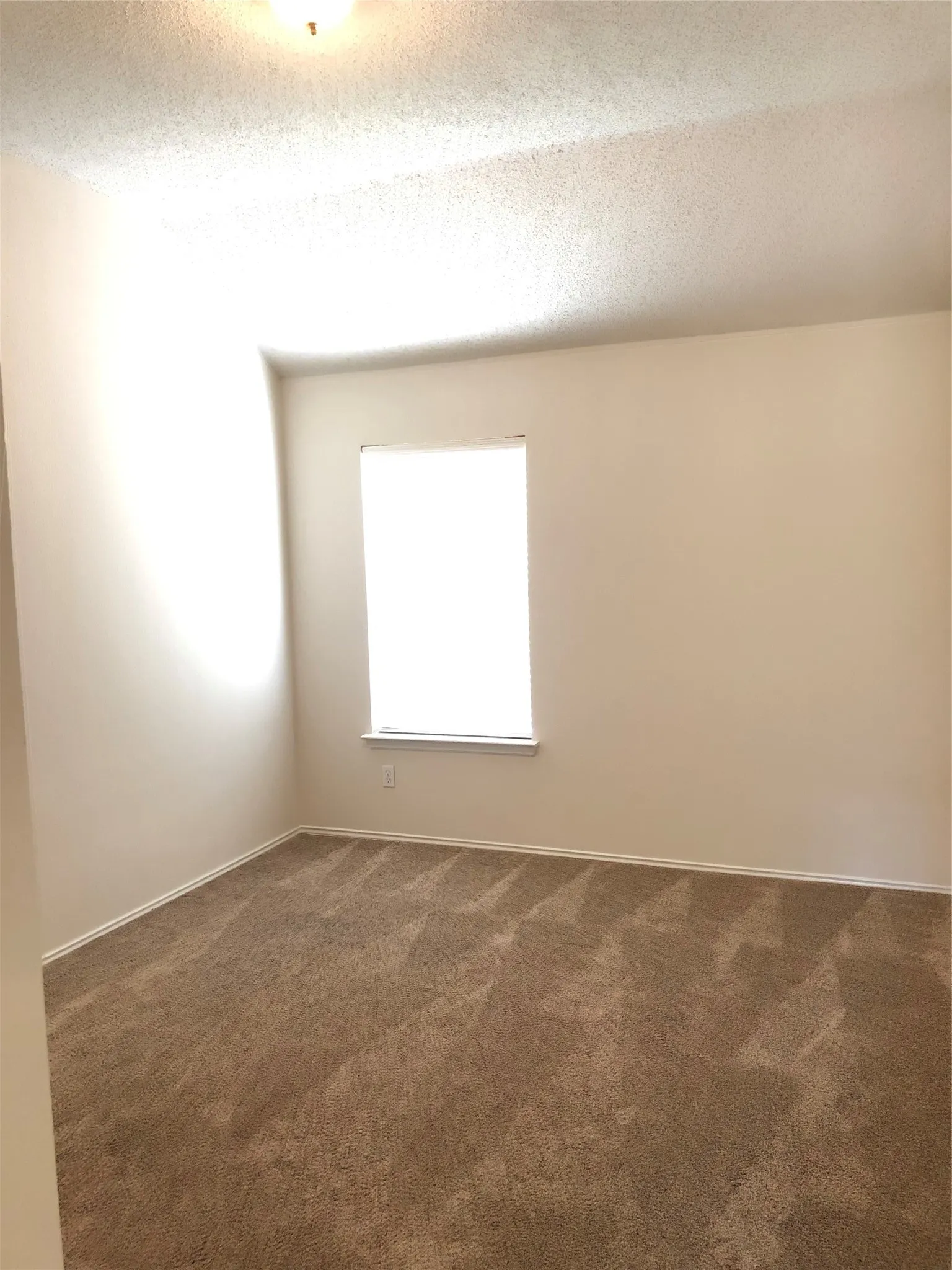Neutral-toned wall paint, textured ceiling, brown carpet flooring, single window, and flush mount lighting