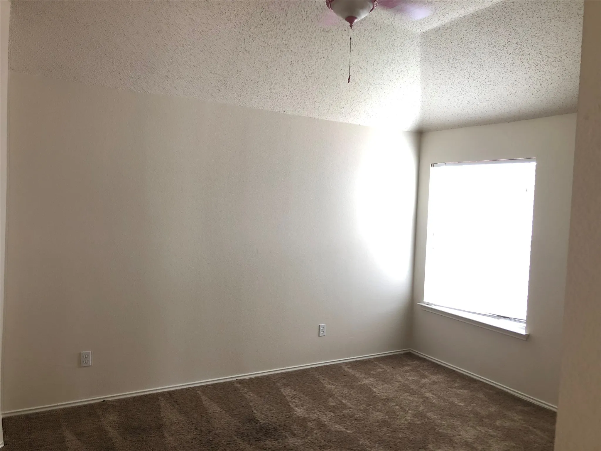 Recessed window with white trim, textured walls, and brown carpeting