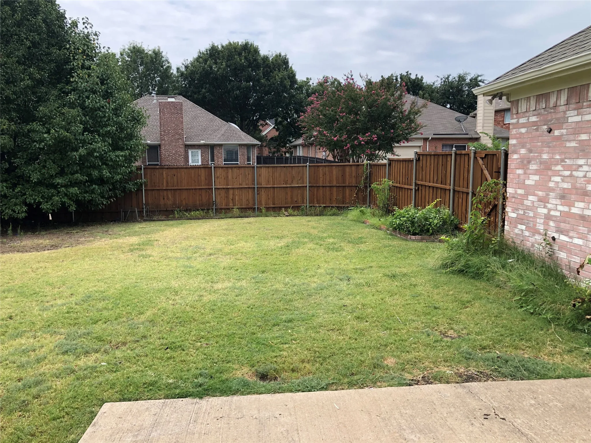 Expansive backyard featuring a concrete patio, wood privacy fencing, and mature perimeter trees