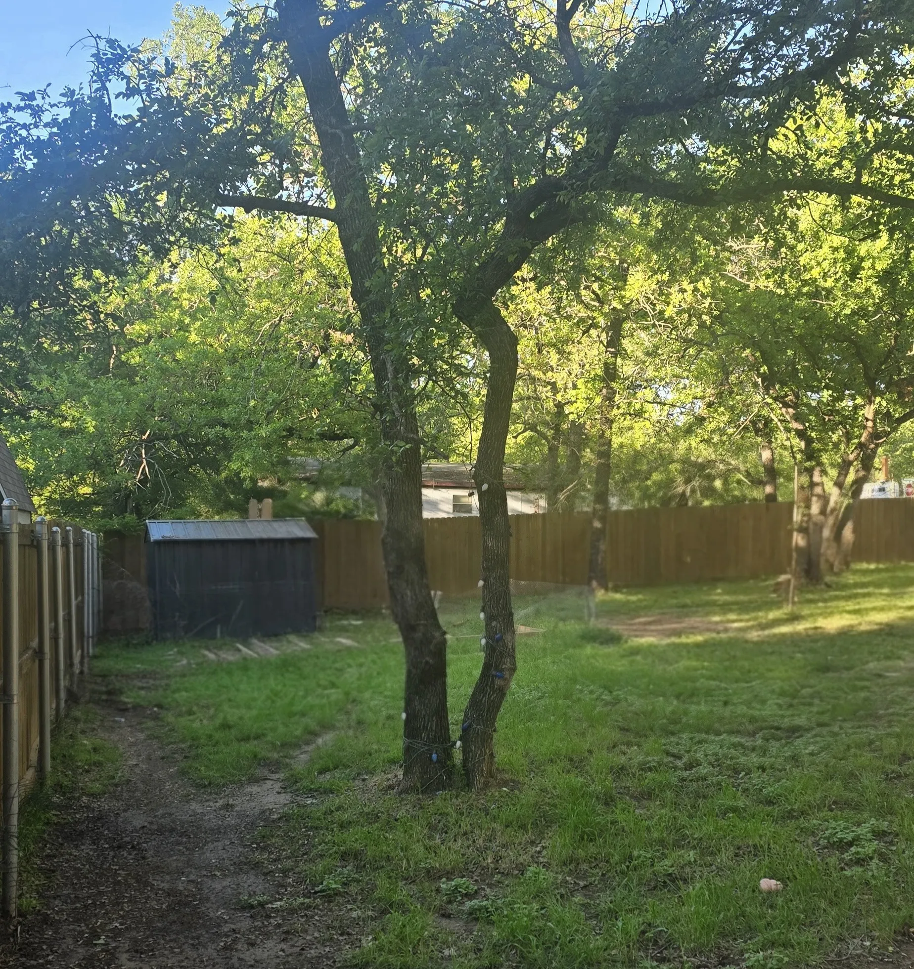 Mobile Home For Sale in Parker County , 6033 Hidden Circle, Azle, Texas 76020, 3 Bedroom, 2 Bathroom, Garage spaces, 1,153 Sqft, built in 2022, mls#21398753, Real Estate Agent in Azle, Homes For Sale in Parker county, Homes For Sale in Azle, Realtor in Azle Texas, Real Estate Brokerage Independent Realty Texas, Luminita Cordes Realtor