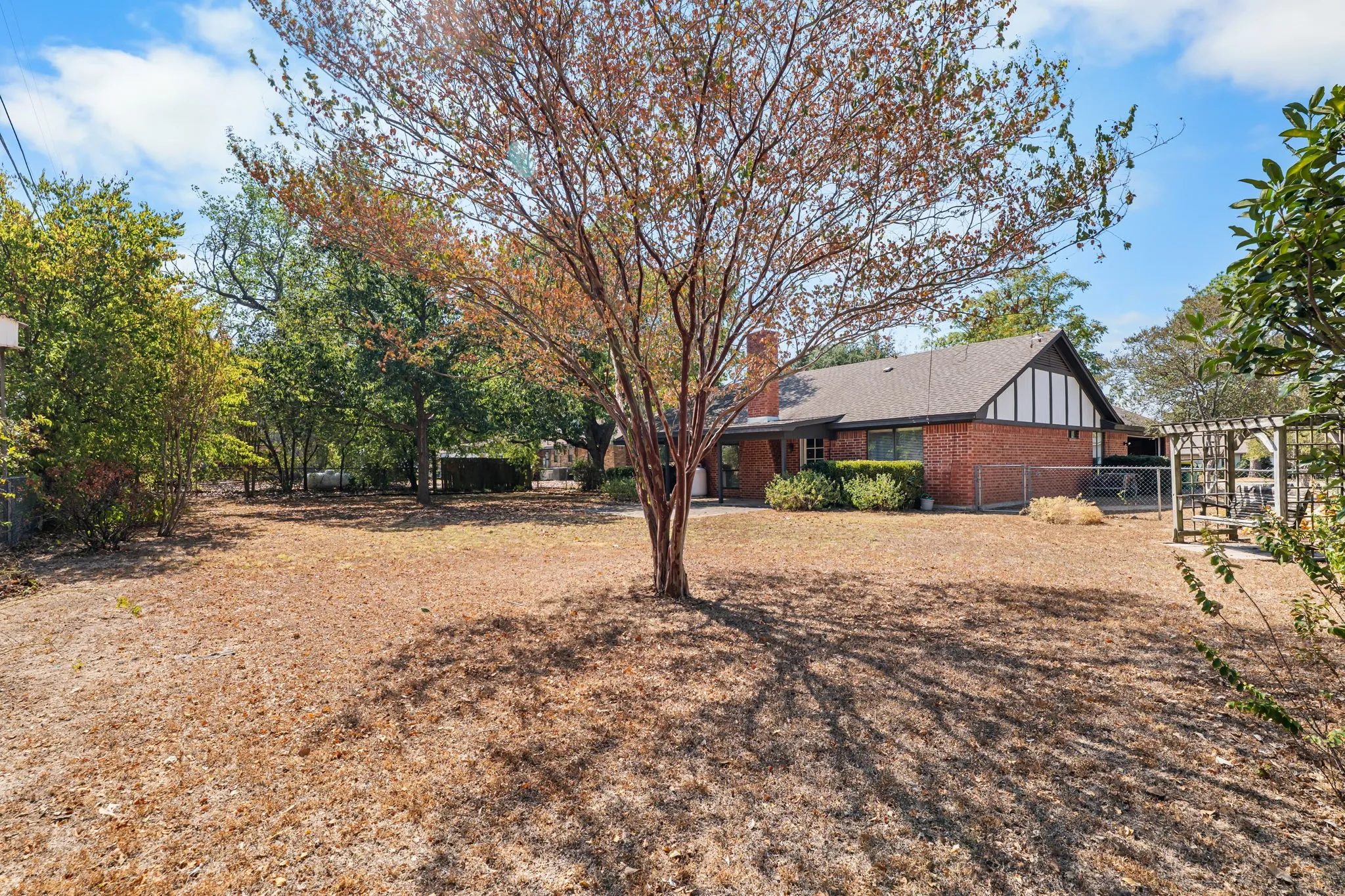 Expansive backyard featuring a mature tree, brick exterior, and a chain-link fence
