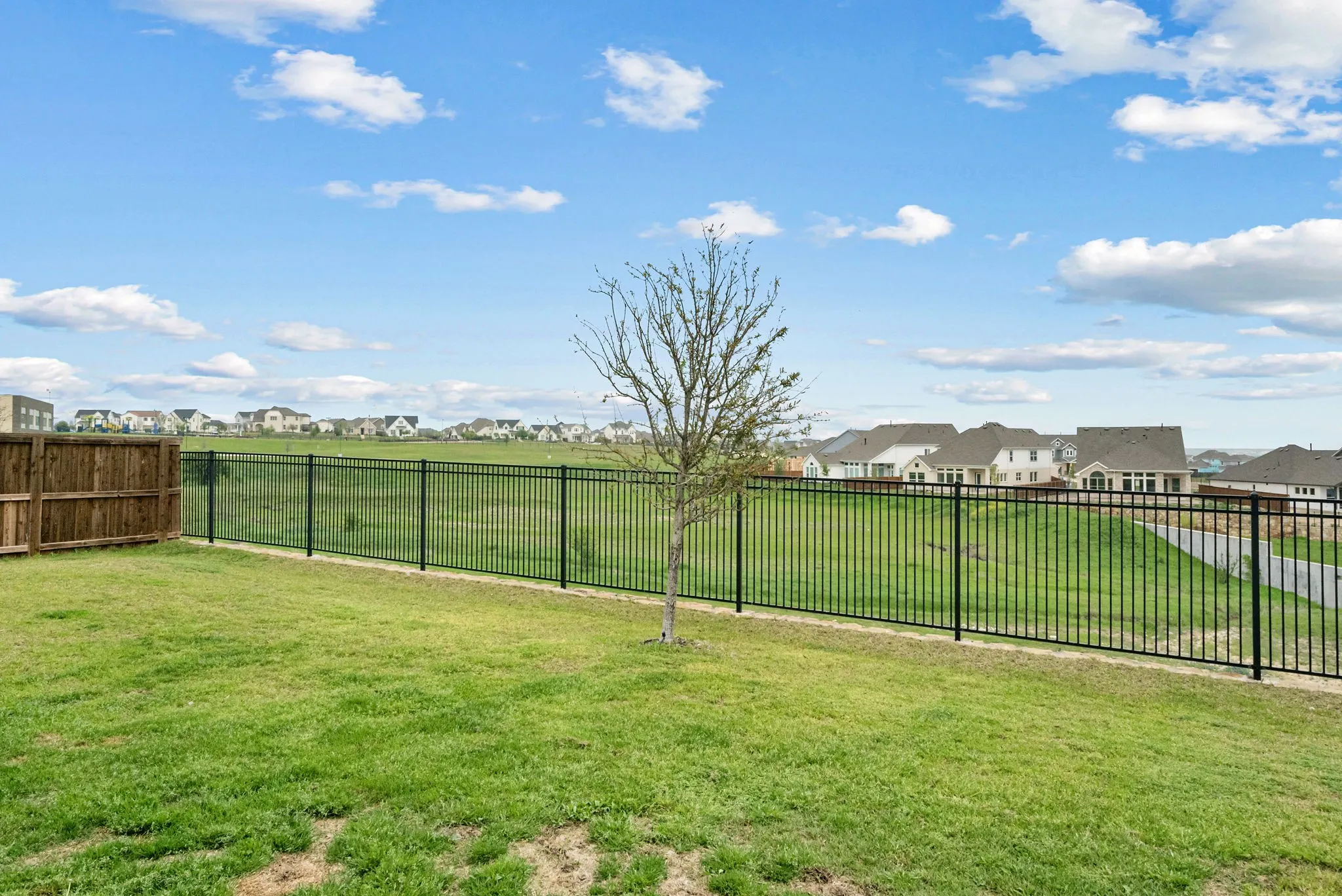Expansive backyard with a black metal fence and partial wood fence