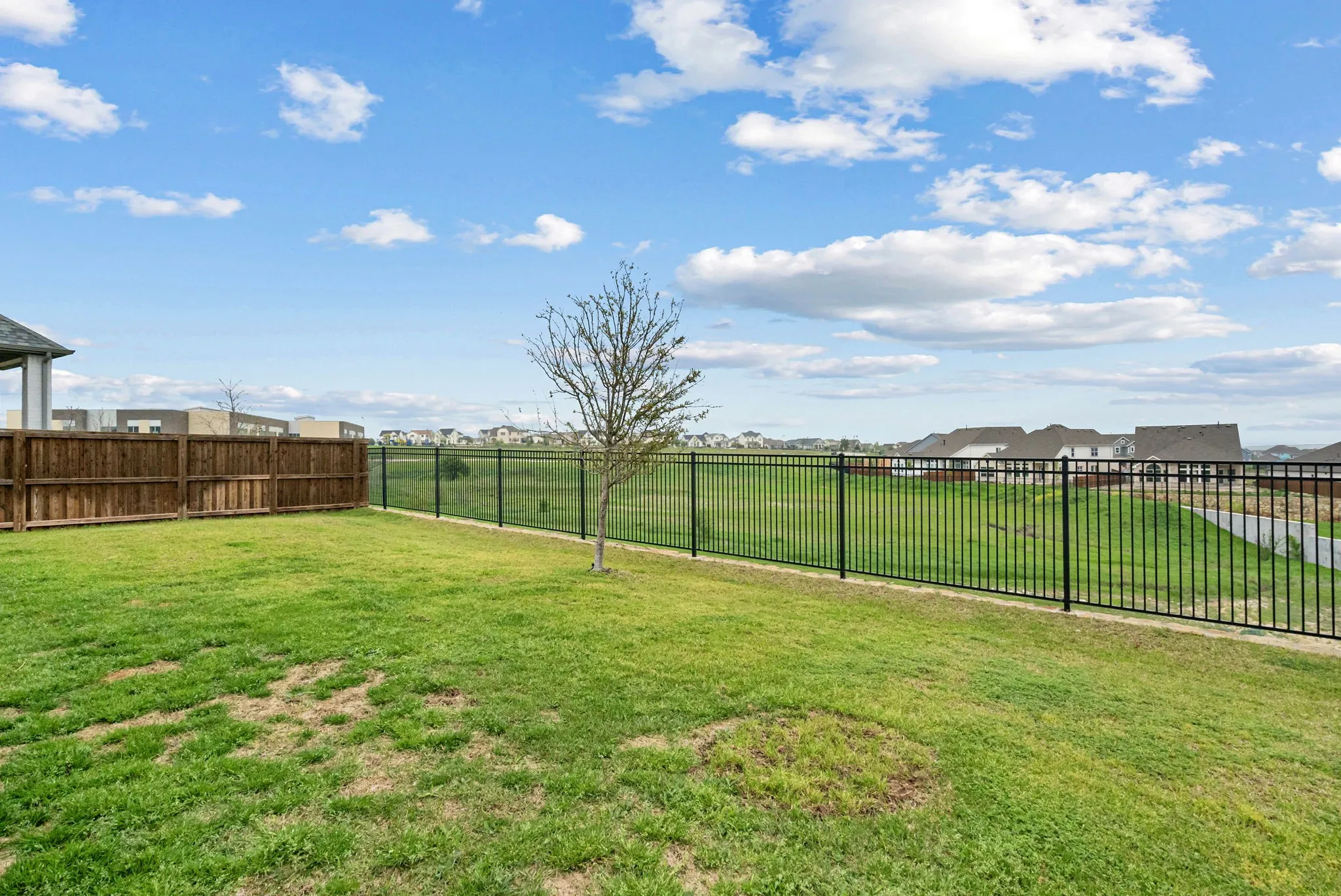 Expansive backyard featuring a manicured lawn, a privacy fence, and a black wrought iron fence