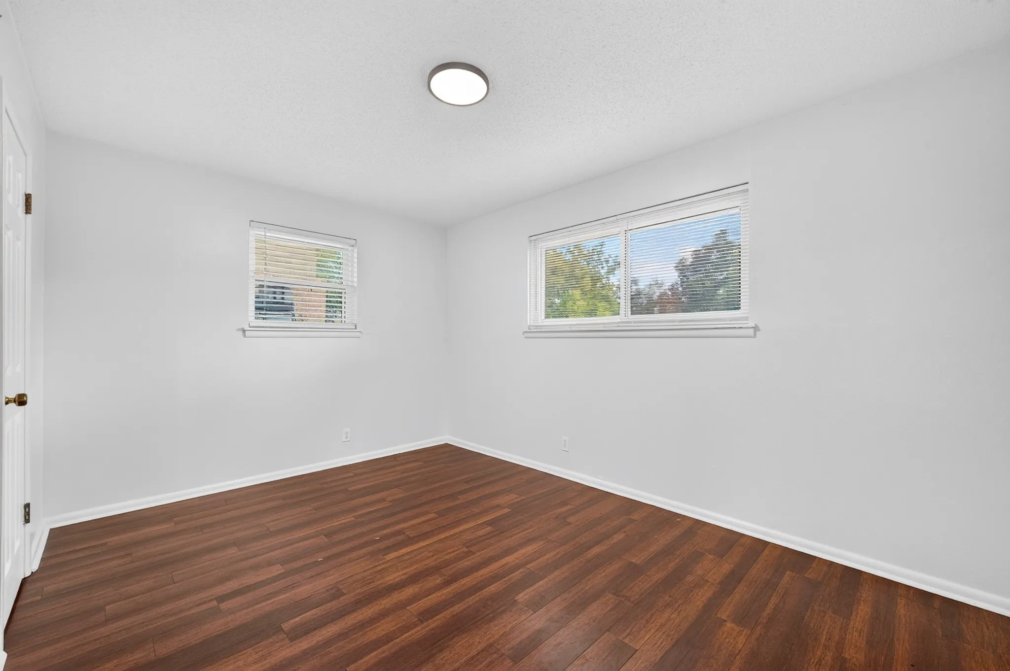 Room featuring wood-finish flooring, two windows, and a flush-mount ceiling light