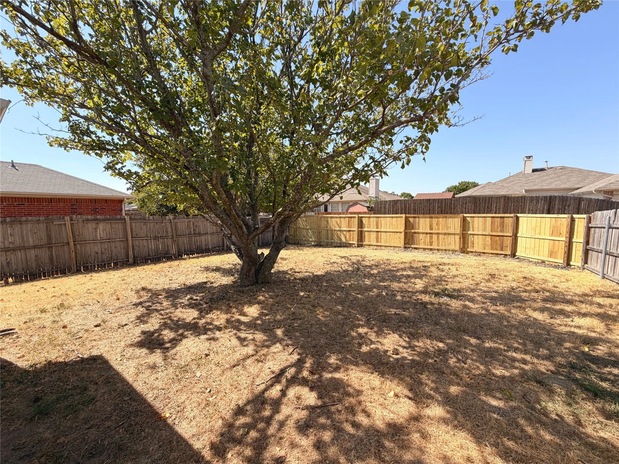 Expansive backyard featuring a mature tree, natural ground cover, and a combination of wood panel and picket fencing