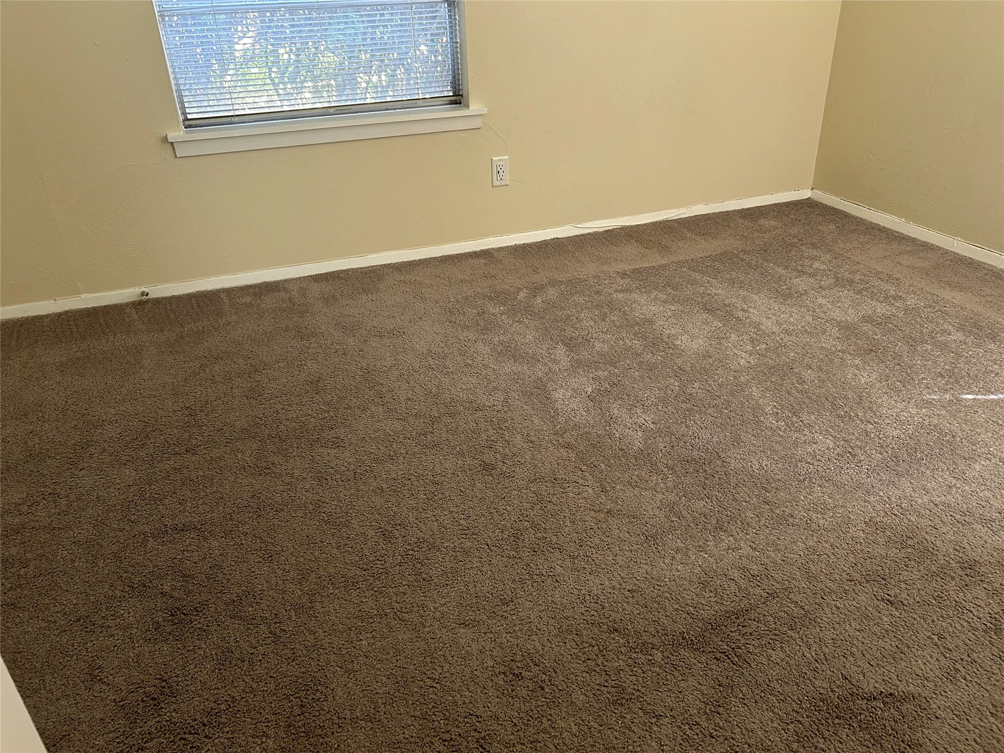 Neutral tone wall paint, textured brown carpeting, and a window with horizontal blinds