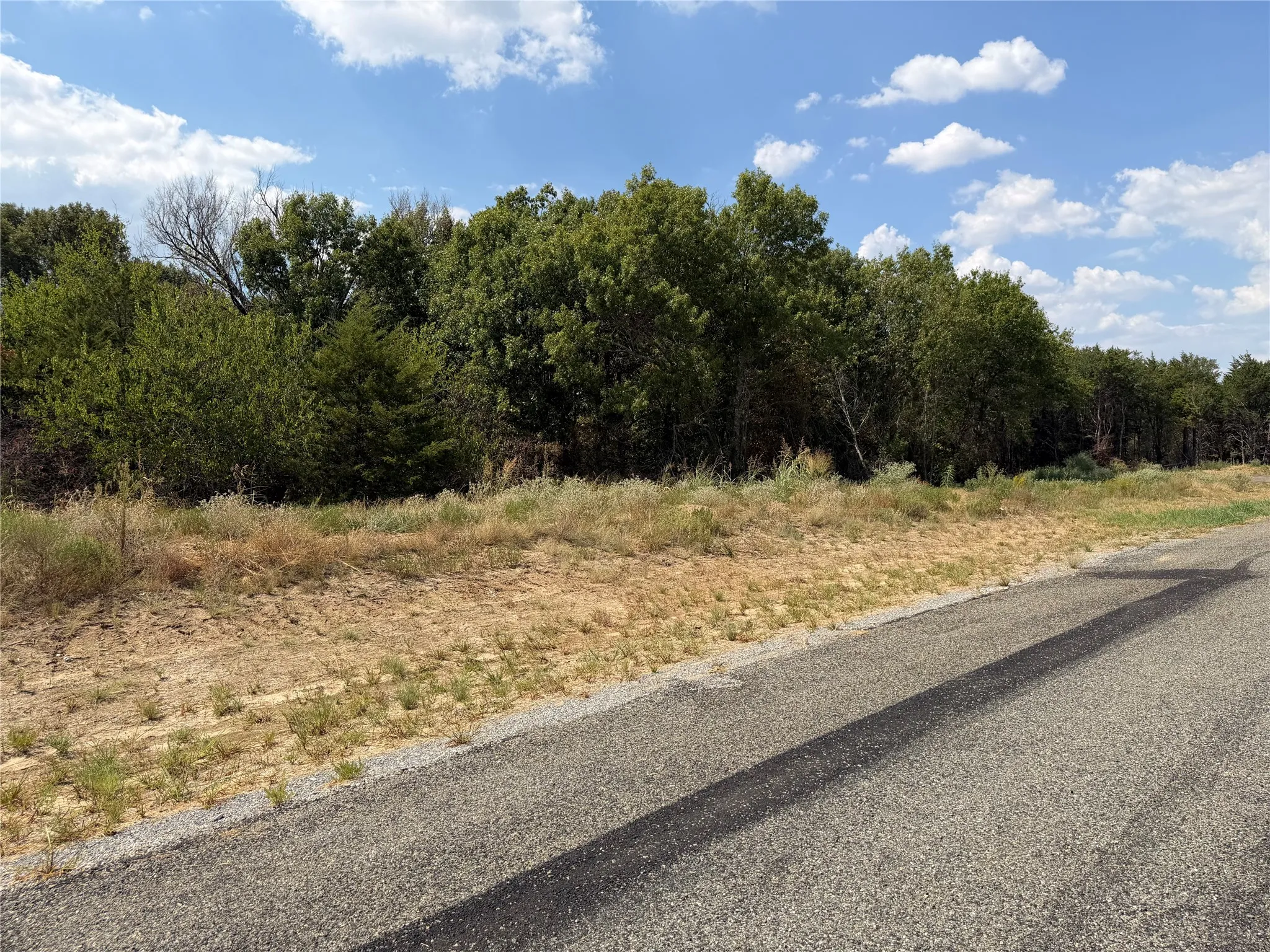 Wooded lot with mature trees and paved road frontage