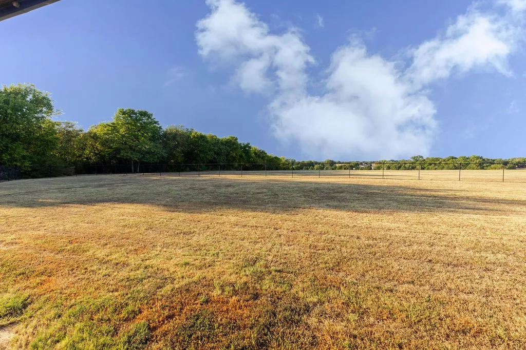Big backyard.