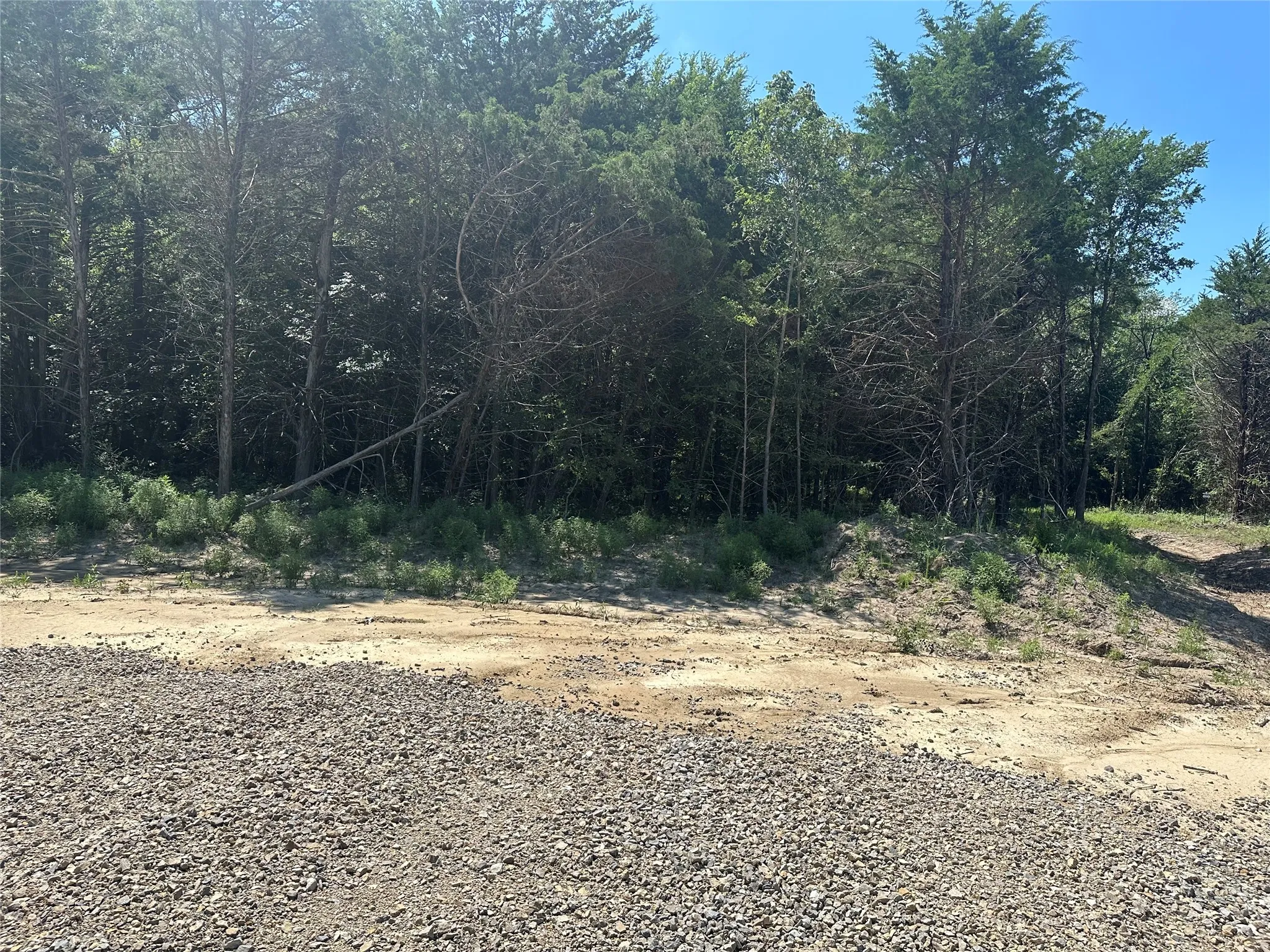 Wooded lot with natural foliage and a gravel ground surface