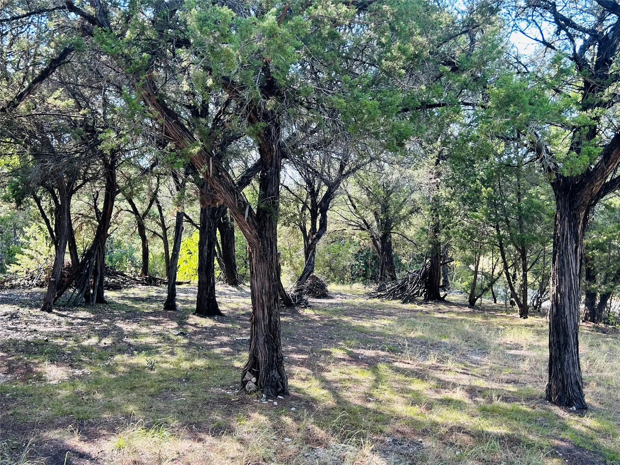 Single Family Residence For Sale in Hill County , 186 Jennifer Loop, Whitney, Texas 76692, 3 Bedroom, 1 Bathroom, Garage spaces, 1,204 Sqft, built in 1998, mls#21398264, Real Estate Agent in Whitney, Homes For Sale in Hill county, Homes For Sale in Whitney, Realtor in Whitney Texas, Real Estate Brokerage Independent Realty Texas, Luminita Cordes Realtor