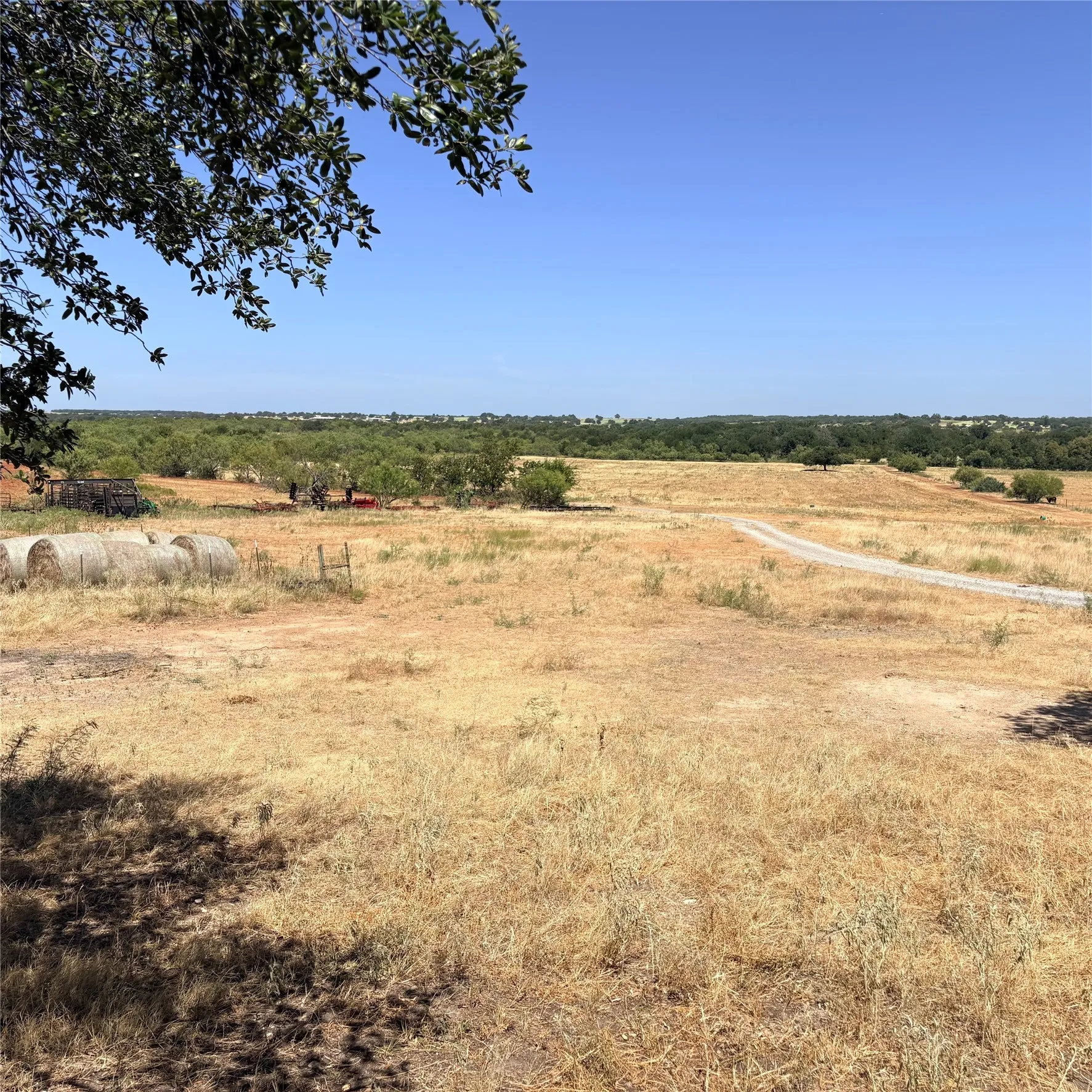 Expansive open land with a clear blue sky