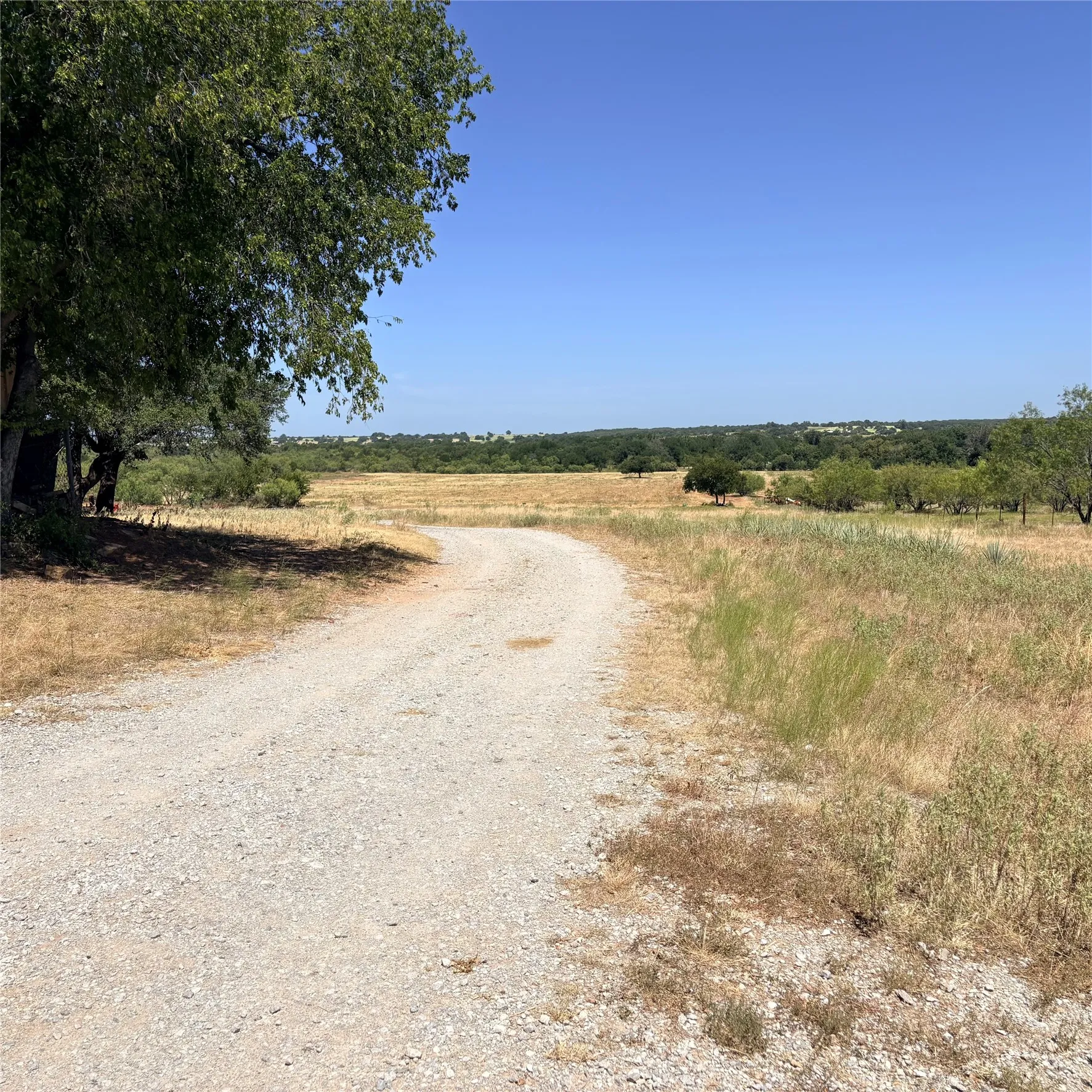 Gravel road winding through expansive natural landscape with mature trees and open fields under a clear sky