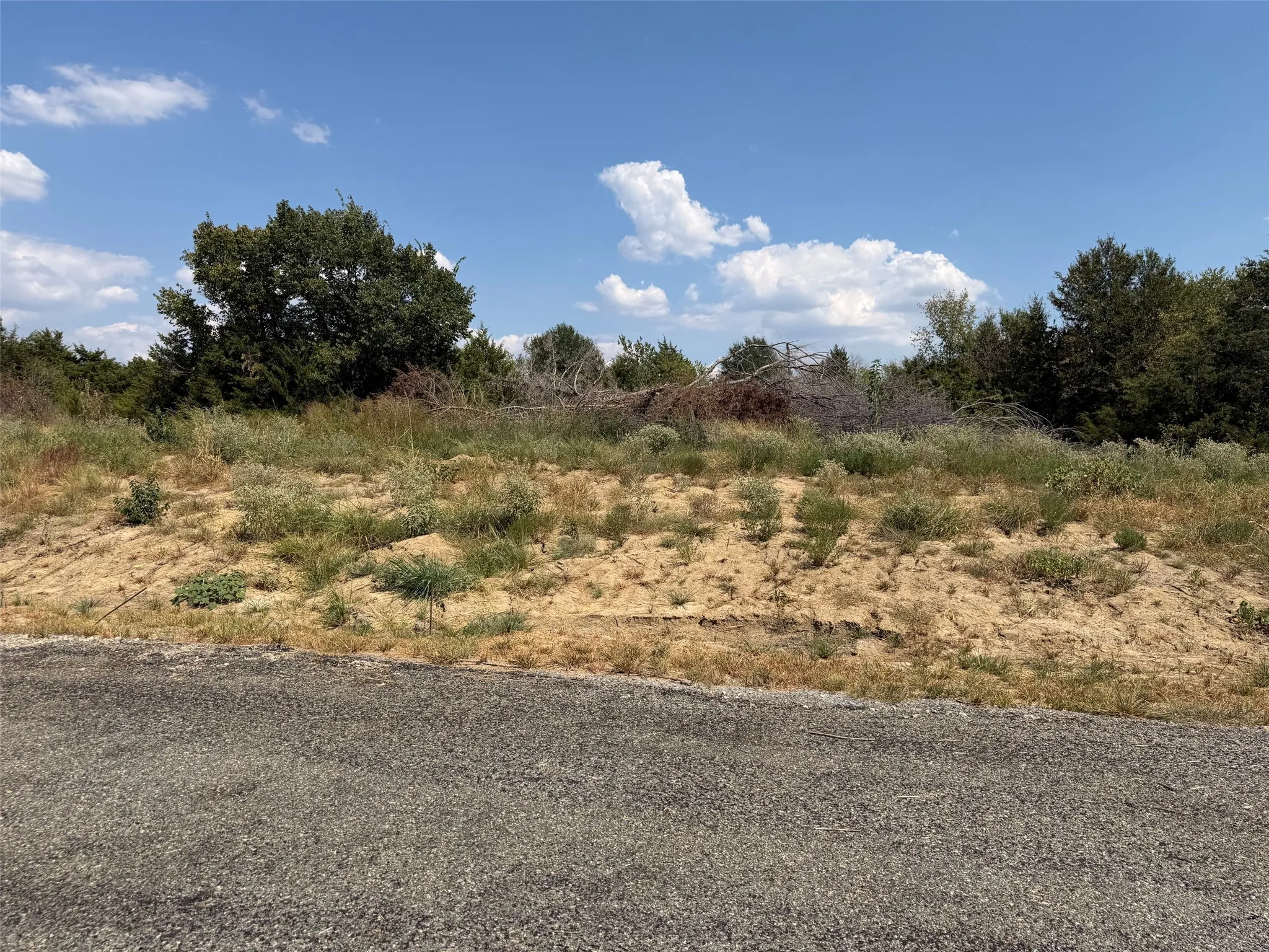 Land parcel with a gentle slope and natural vegetation