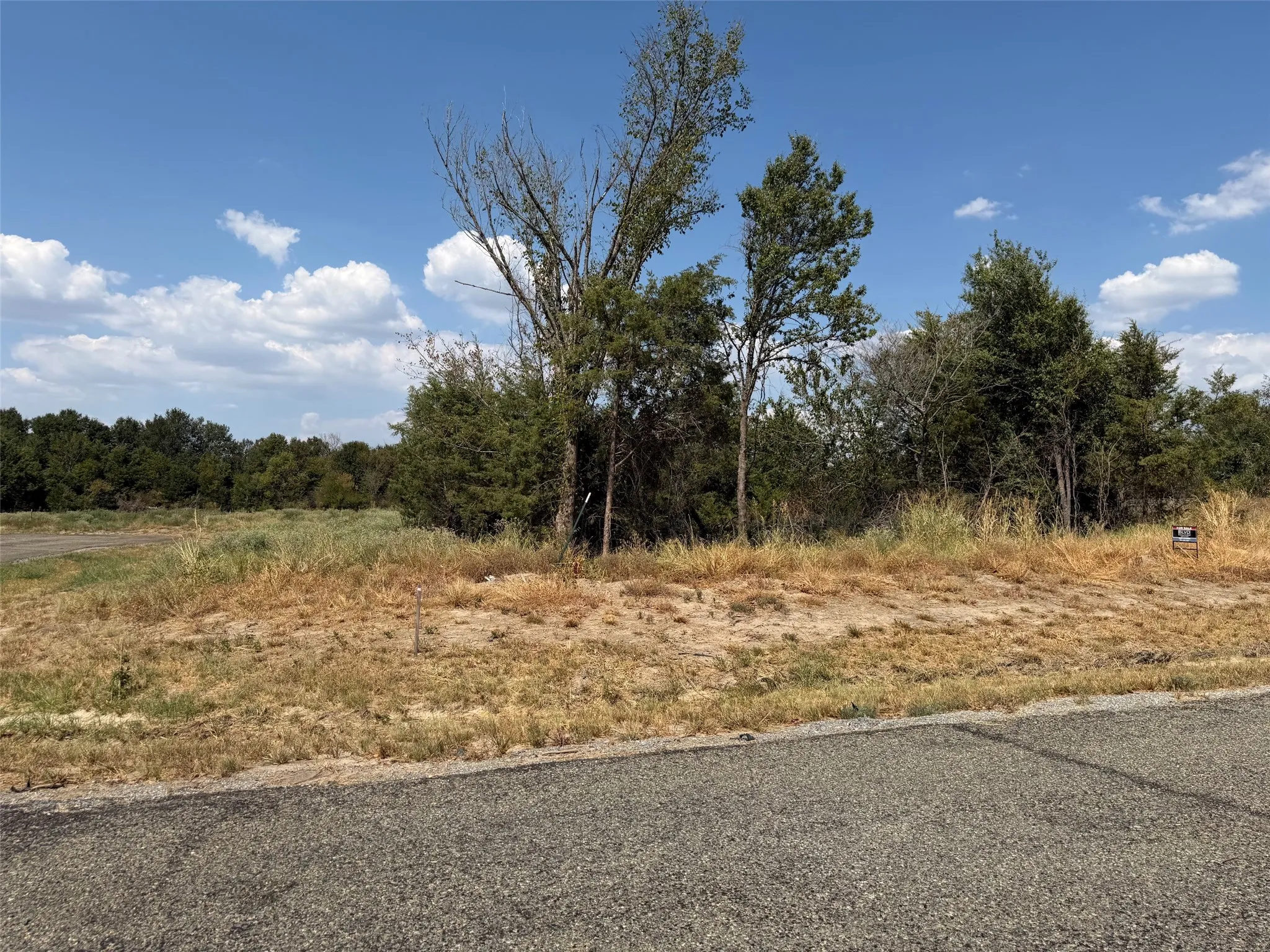 Roadside lot with established trees and natural foliage