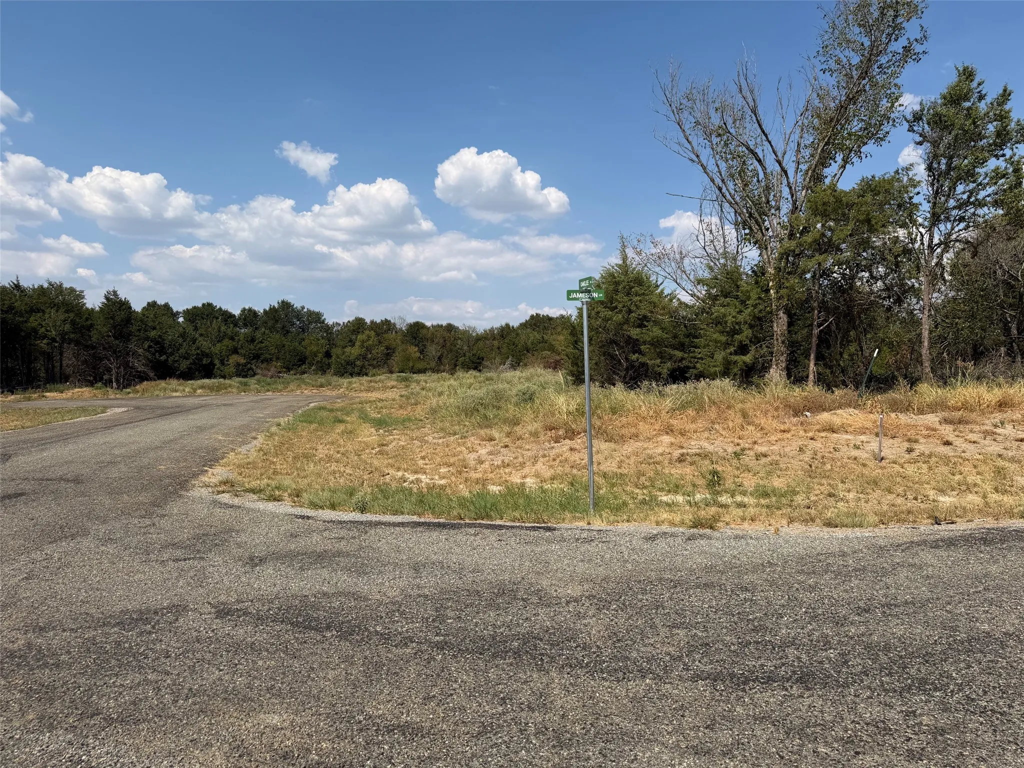 Paved road with curb, surrounding natural landscape, mature trees