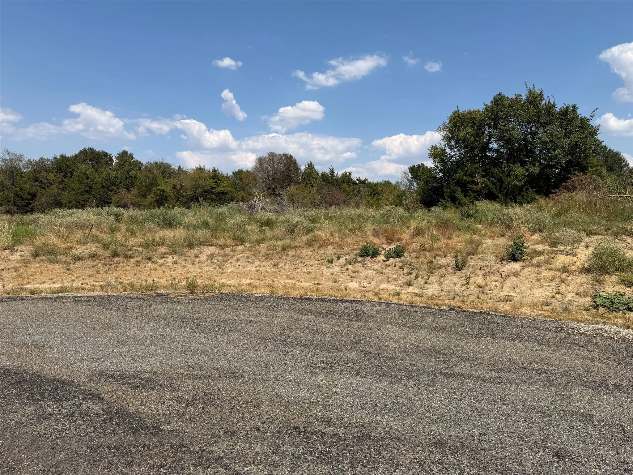 Expansive lot featuring a varied terrain, natural vegetation, and mature trees