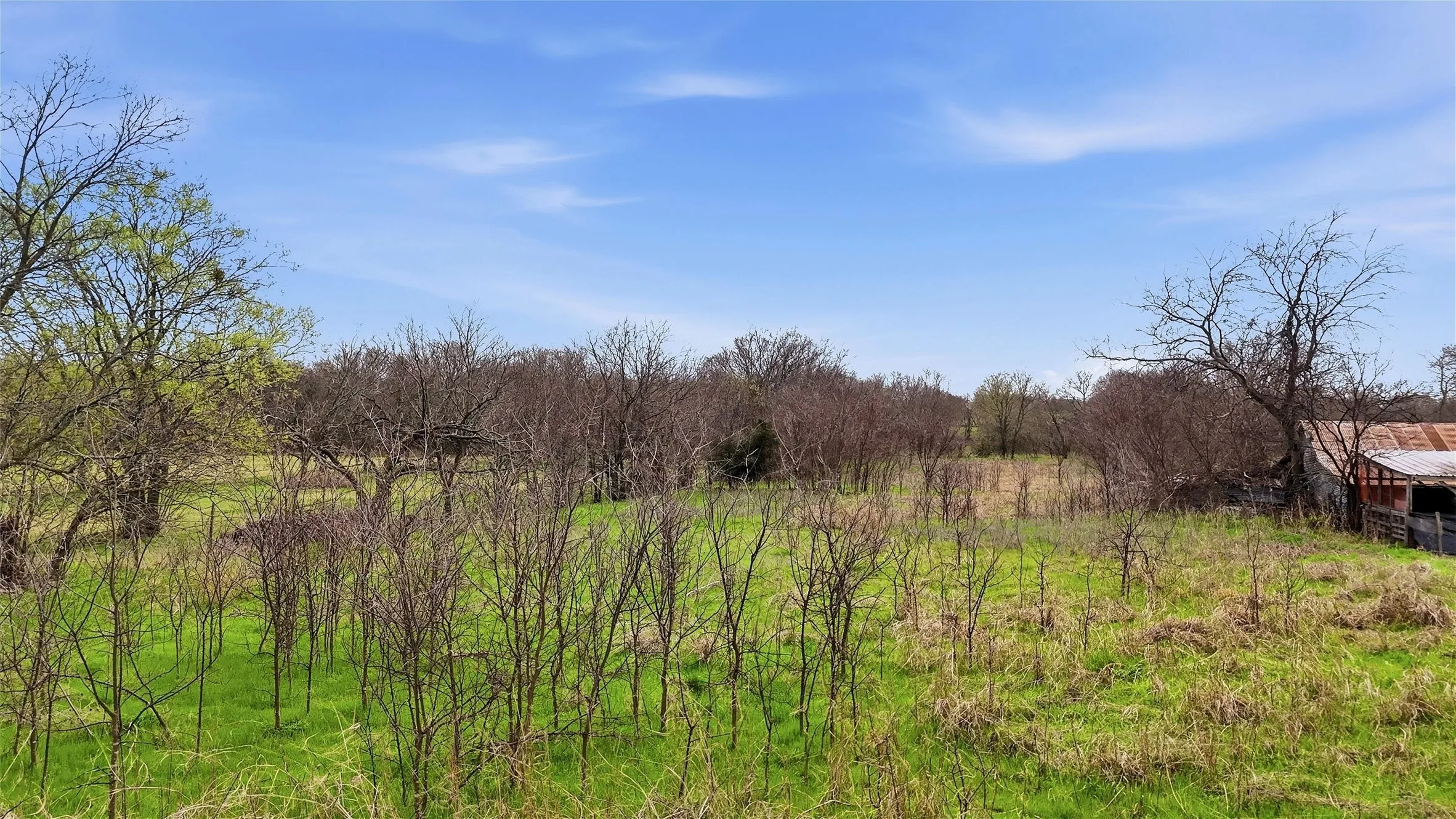 Expansive acreage with mature trees and a clear blue sky