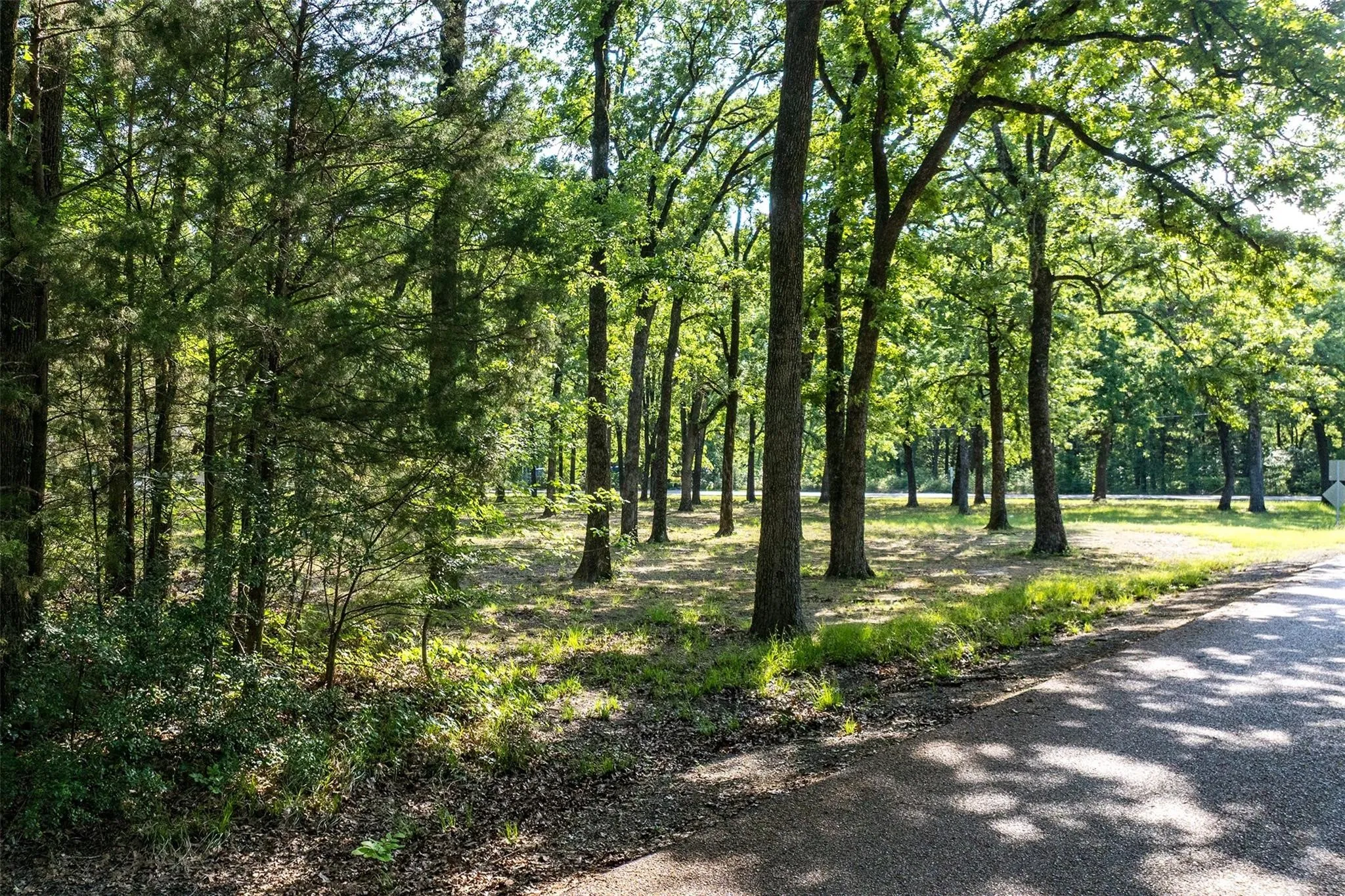 Unimproved Land For Sale in Henderson County , 104 Lark Drive, Enchanted Oaks, Texas 75156, 0, 0, Garage spaces, 0 Sqft, built in 0, mls#21398977, Real Estate Agent in Enchanted Oaks, Homes For Sale in Henderson county, Homes For Sale in Enchanted Oaks, Realtor in Enchanted Oaks Texas, Real Estate Brokerage Independent Realty Texas, Luminita Cordes Realtor