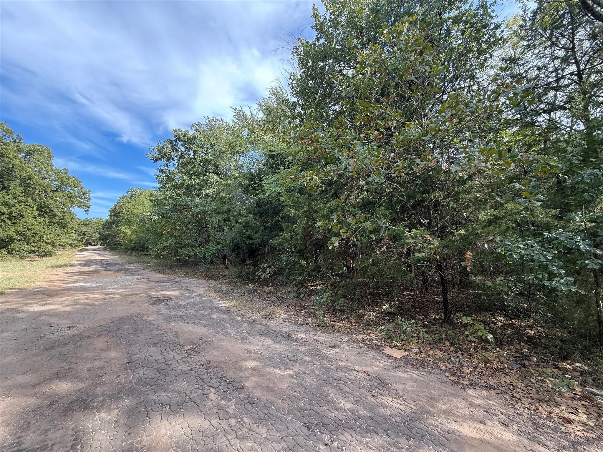 Unimproved Land For Sale in Henderson County , 0 Tahoka, Mabank, Texas 75156, 0, 0, Garage spaces, 0 Sqft, built in 0, mls#21399070, Real Estate Agent in Mabank, Homes For Sale in Henderson county, Homes For Sale in Mabank, Realtor in Mabank Texas, Real Estate Brokerage Independent Realty Texas, Luminita Cordes Realtor
