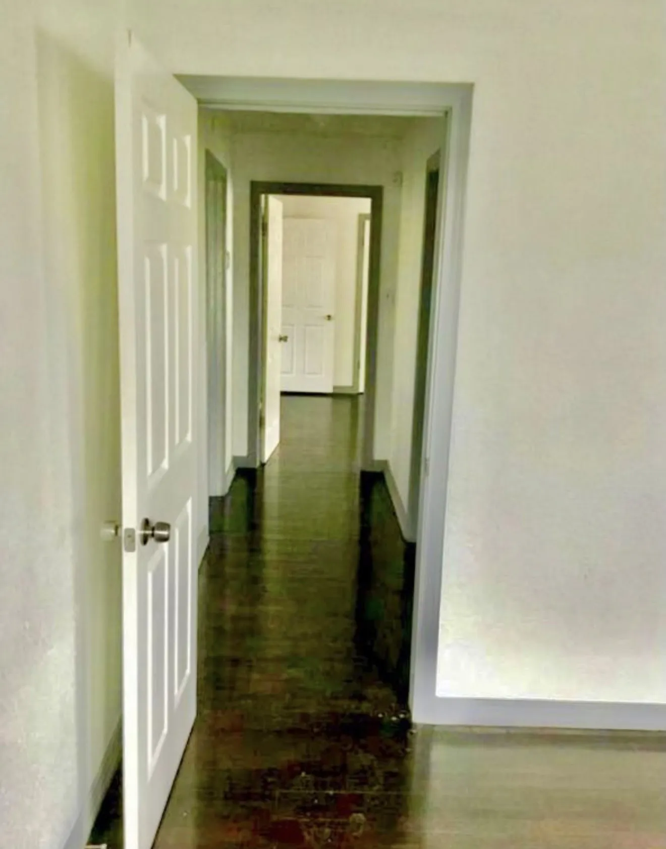 Clean hallway to bedroom