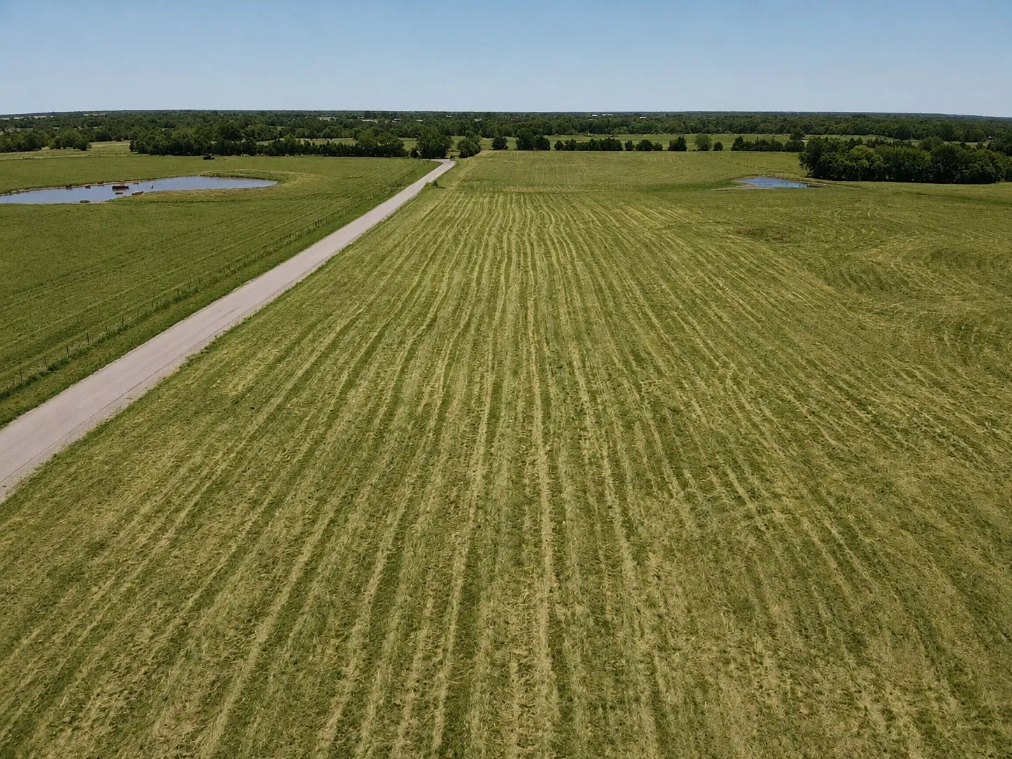 Unimproved Land For Sale in Lamar County , 000 Lot 3 CR 33500, Sumner, Texas 75486, 0, 0, Garage spaces, 0 Sqft, built in 0, mls#21399109, Real Estate Agent in Sumner, Homes For Sale in Lamar county, Homes For Sale in Sumner, Realtor in Sumner Texas, Real Estate Brokerage Independent Realty Texas, Luminita Cordes Realtor