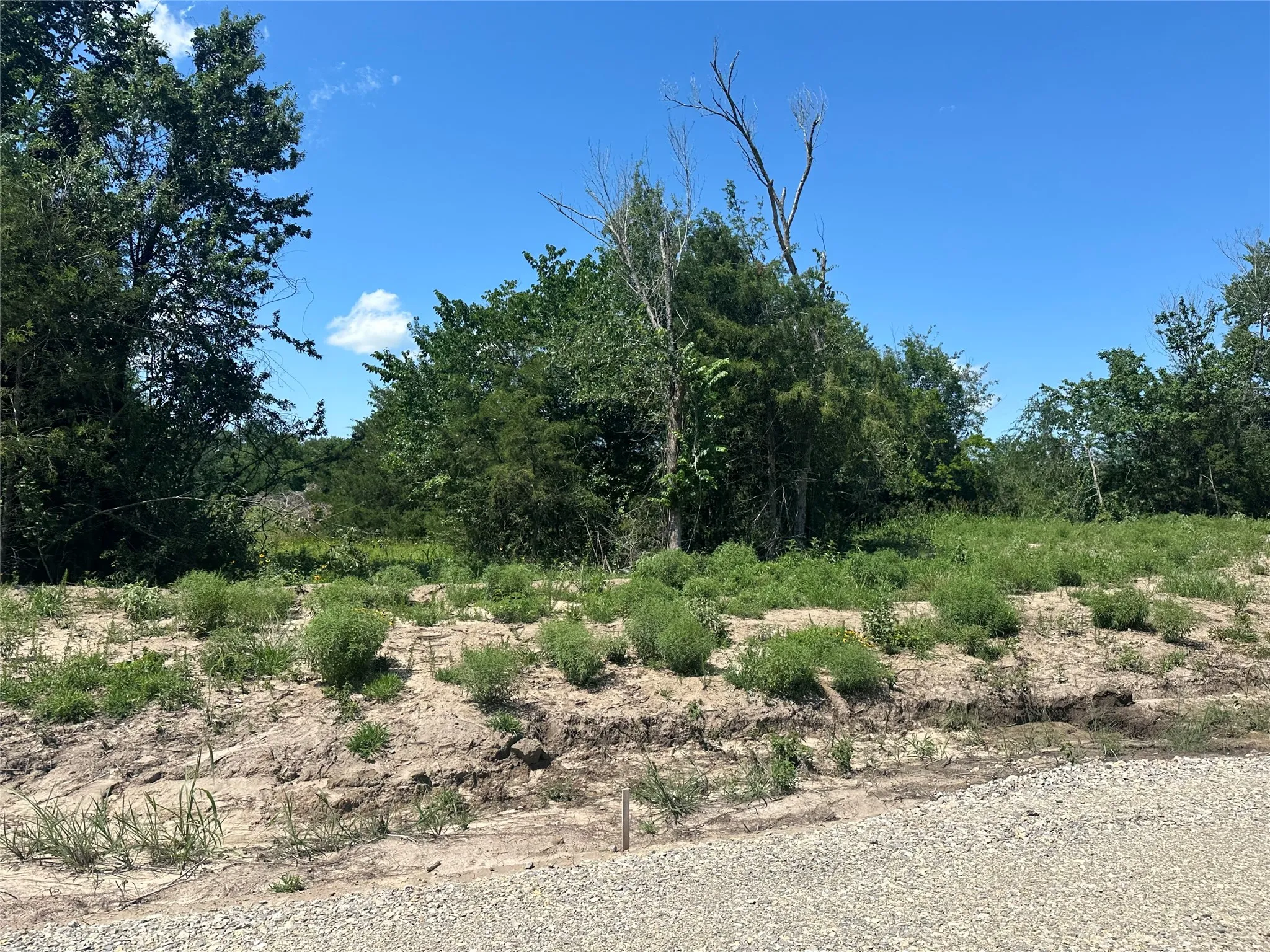 Unimproved Land For Sale in Hunt County , Lot 15 Co Rd 1110, Farmersville, Texas 75442, 0, 0, Garage spaces, 0 Sqft, built in 0, mls#21399116, Real Estate Agent in Farmersville, Homes For Sale in Hunt county, Homes For Sale in Farmersville, Realtor in Farmersville Texas, Real Estate Brokerage Independent Realty Texas, Luminita Cordes Realtor