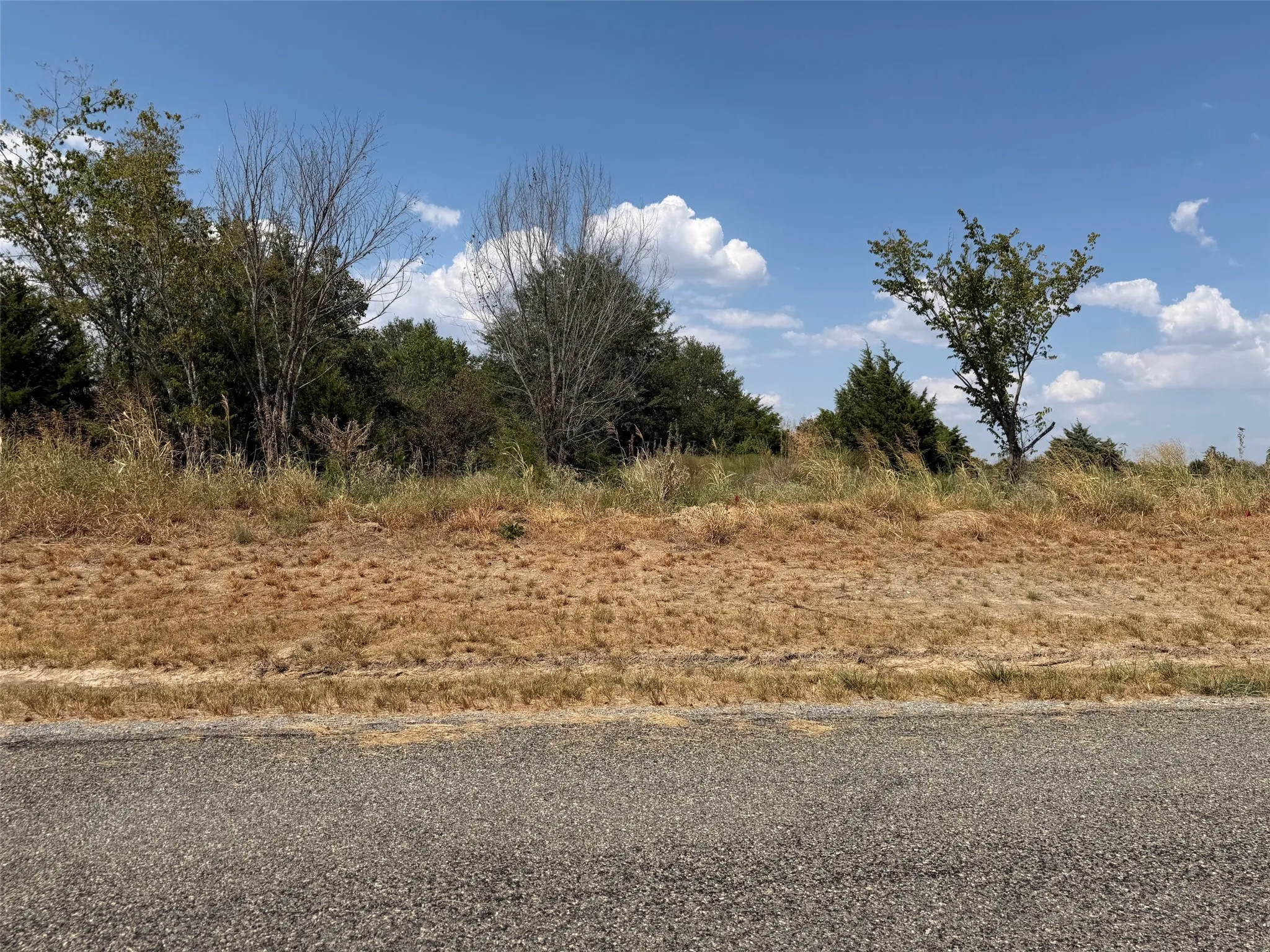 Property featuring natural ground cover, mature trees, and an asphalt-paved surface