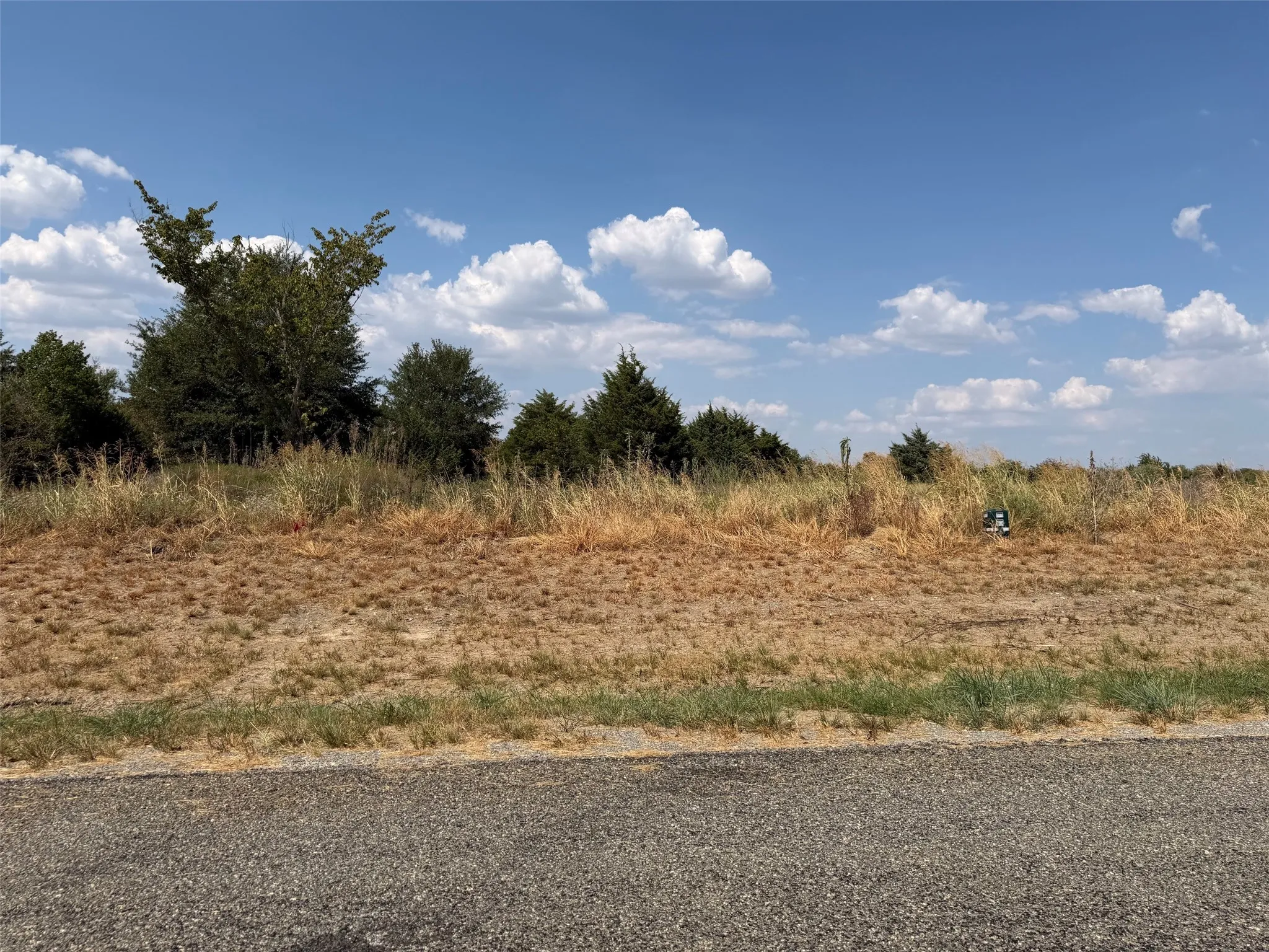 Roadside property featuring natural terrain and varied vegetation