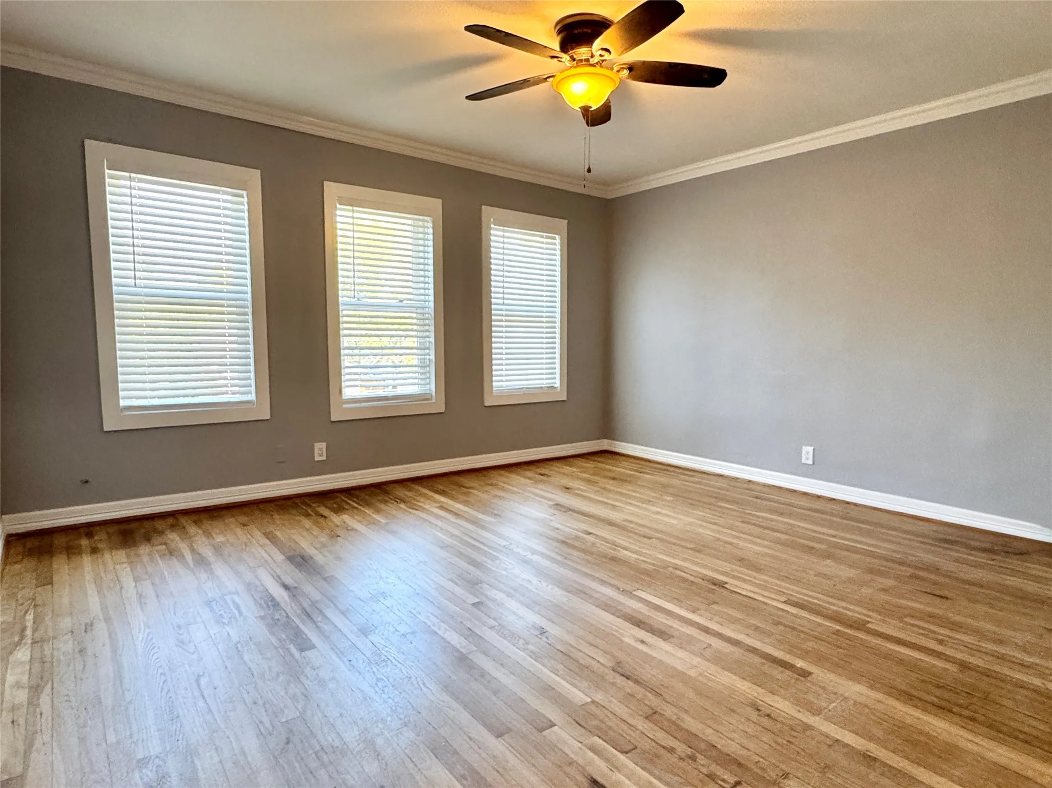 Apartment For Rent in Dallas County , 6006 Worth Street 1, Dallas, Texas 75214, 1 Bedroom, 1 Bathroom, Garage spaces, 700 Sqft, built in 1925, mls#21399125, Real Estate Agent in Dallas, Homes For Rent in Dallas county, Homes For Rent in Dallas, Realtor in Dallas Texas, Real Estate Brokerage Independent Realty Texas, Luminita Cordes Realtor
