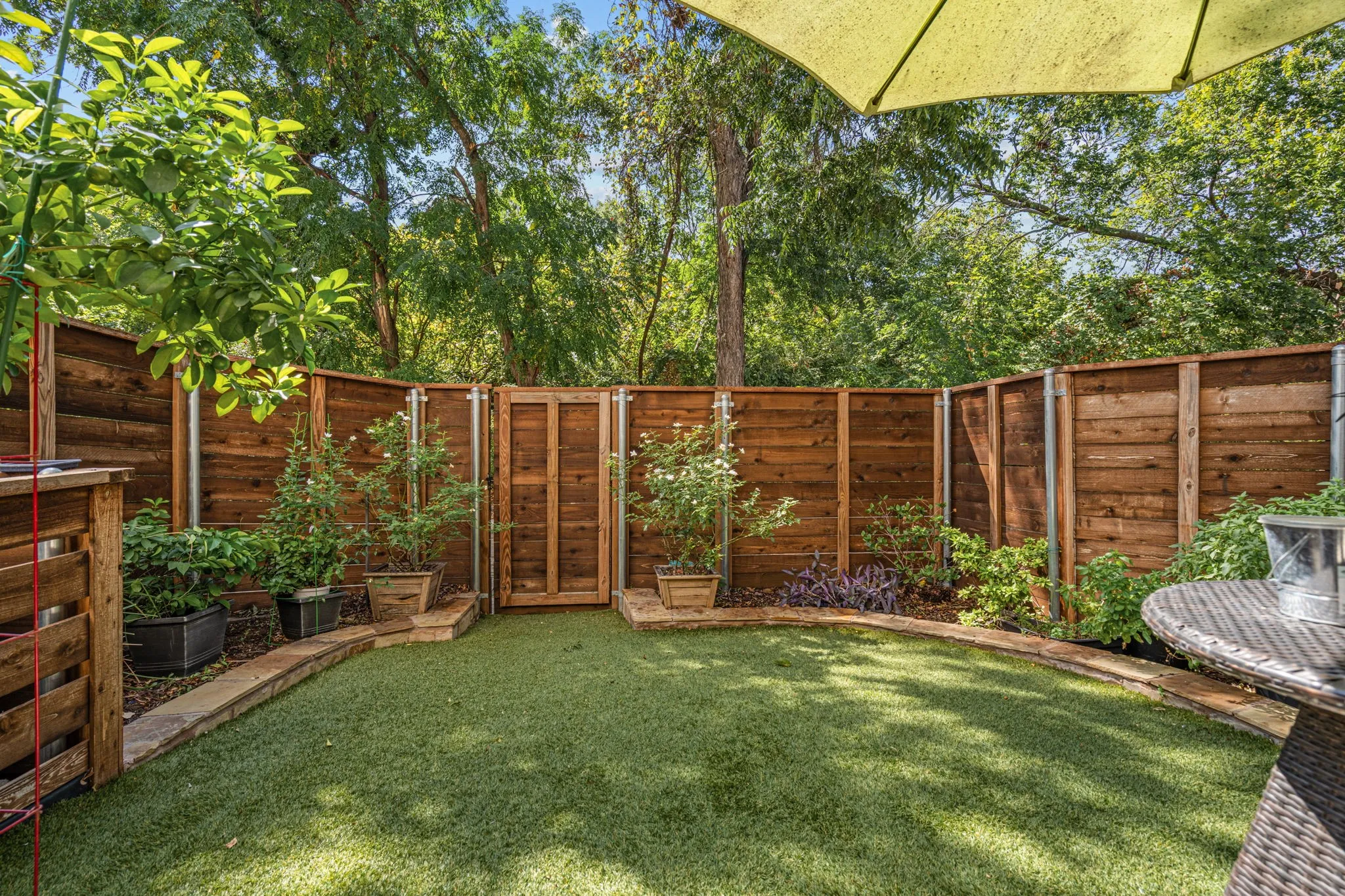 Artificial Turf Backyard