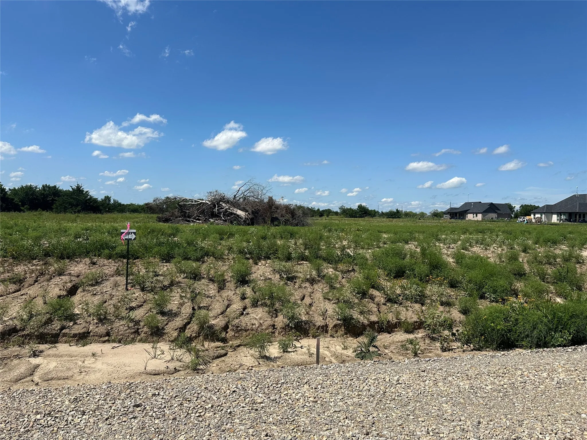 Expansive undeveloped lot with natural vegetation