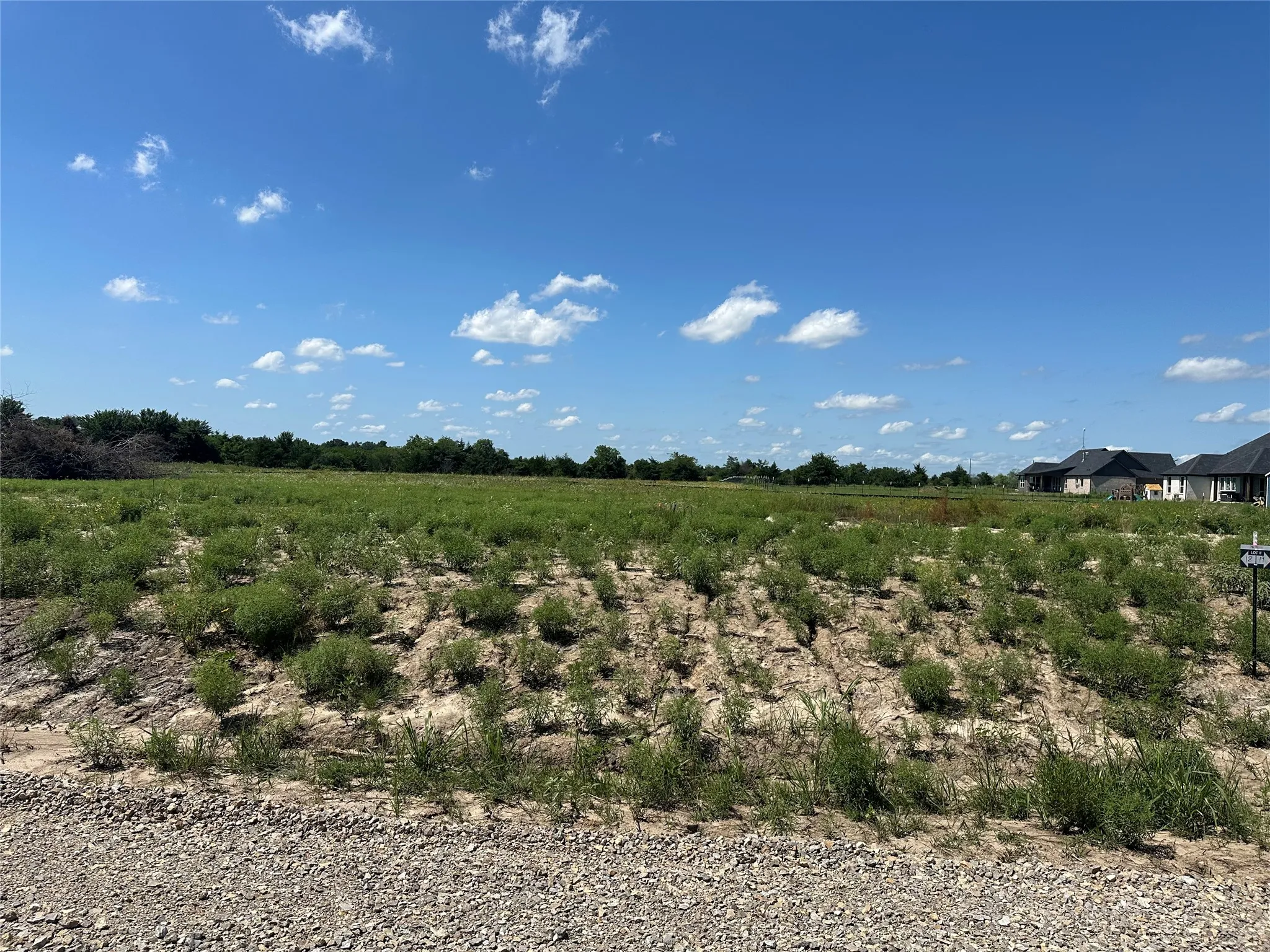 Expansive undeveloped lot with natural vegetation