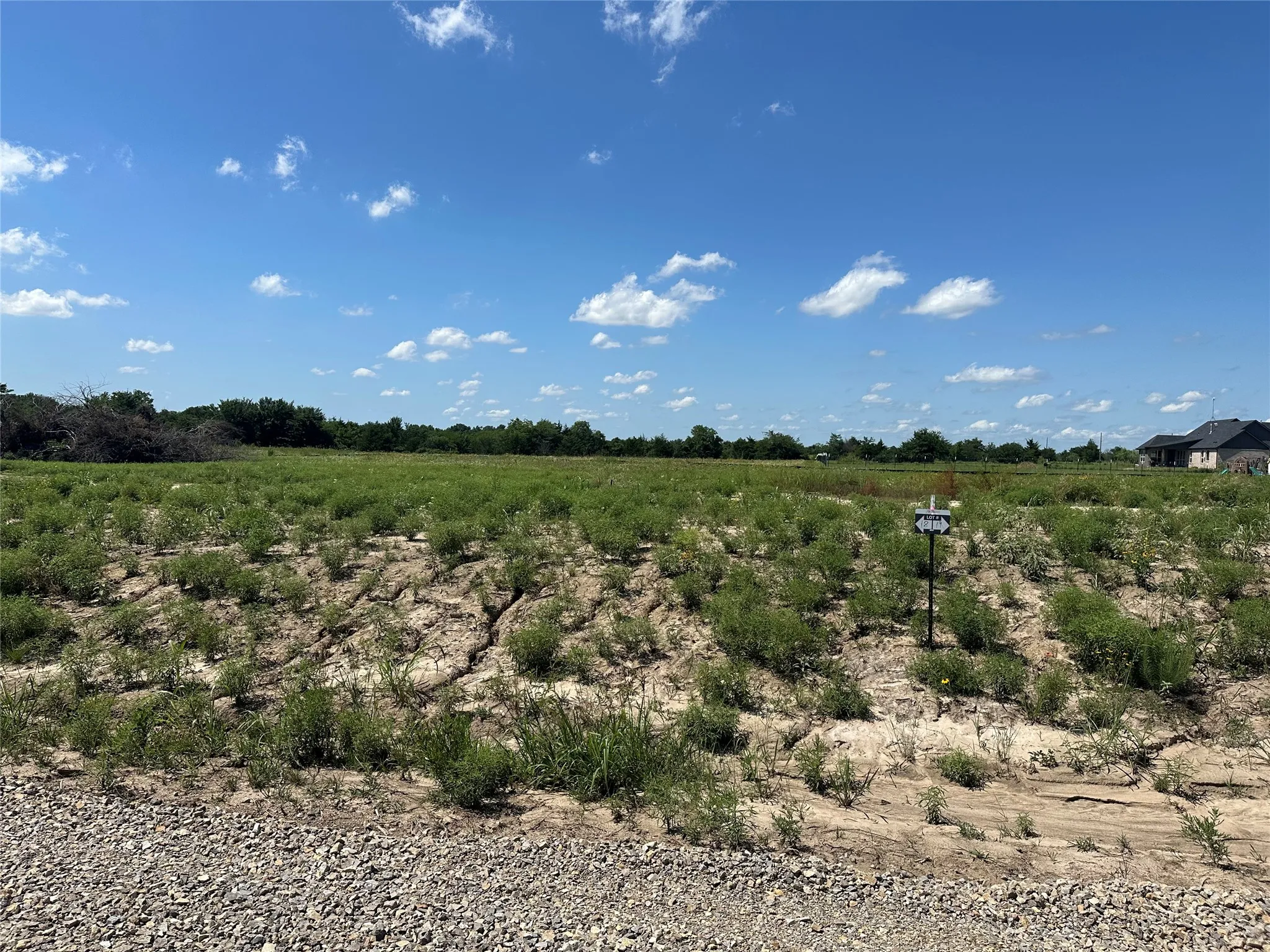 Expansive undeveloped lot with existing vegetation and a gravel foreground