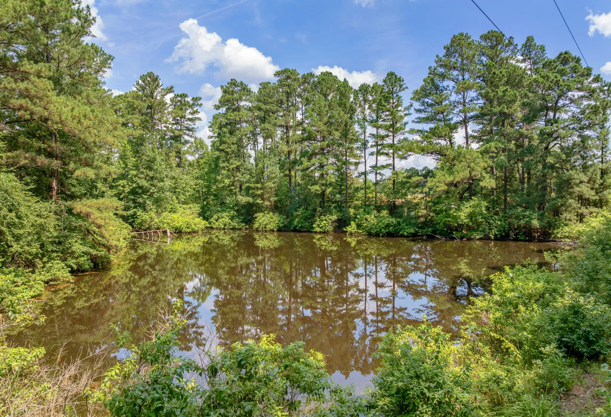 Farm For Sale in Upshur County , 8468 Hydrangea Road, Ore City, Texas 75683, 3 Bedroom, 2 Bathroom, 2 Garage spaces, 1,167 Sqft, built in 1985, mls#21372369, Real Estate Agent in Ore City, Homes For Sale in Upshur county, Homes For Sale in Ore City, Realtor in Ore City Texas, Real Estate Brokerage Independent Realty Texas, Luminita Cordes Realtor