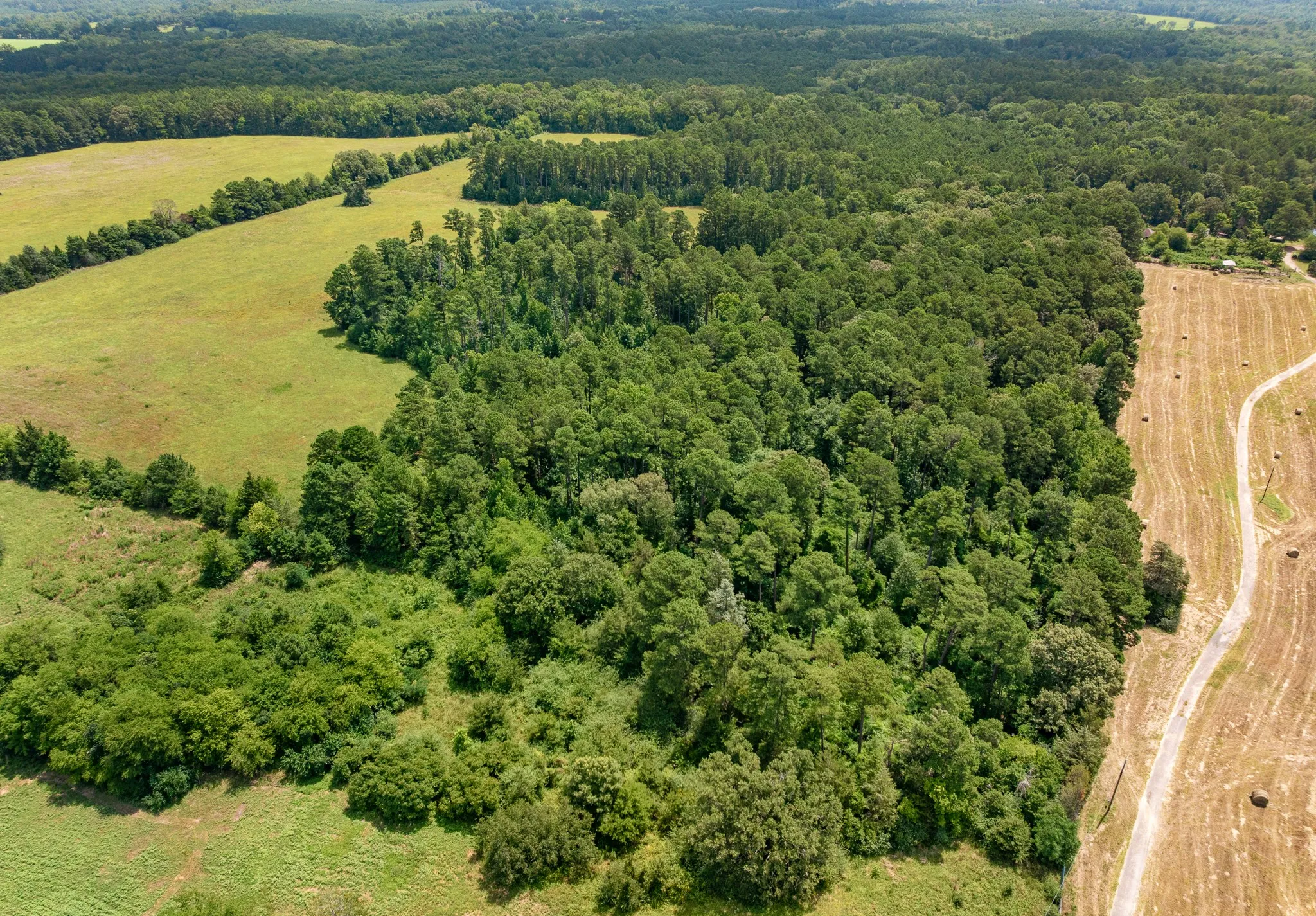 Farm For Sale in Upshur County , 8468 Hydrangea Road, Ore City, Texas 75683, 3 Bedroom, 2 Bathroom, 2 Garage spaces, 1,167 Sqft, built in 1985, mls#21372369, Real Estate Agent in Ore City, Homes For Sale in Upshur county, Homes For Sale in Ore City, Realtor in Ore City Texas, Real Estate Brokerage Independent Realty Texas, Luminita Cordes Realtor