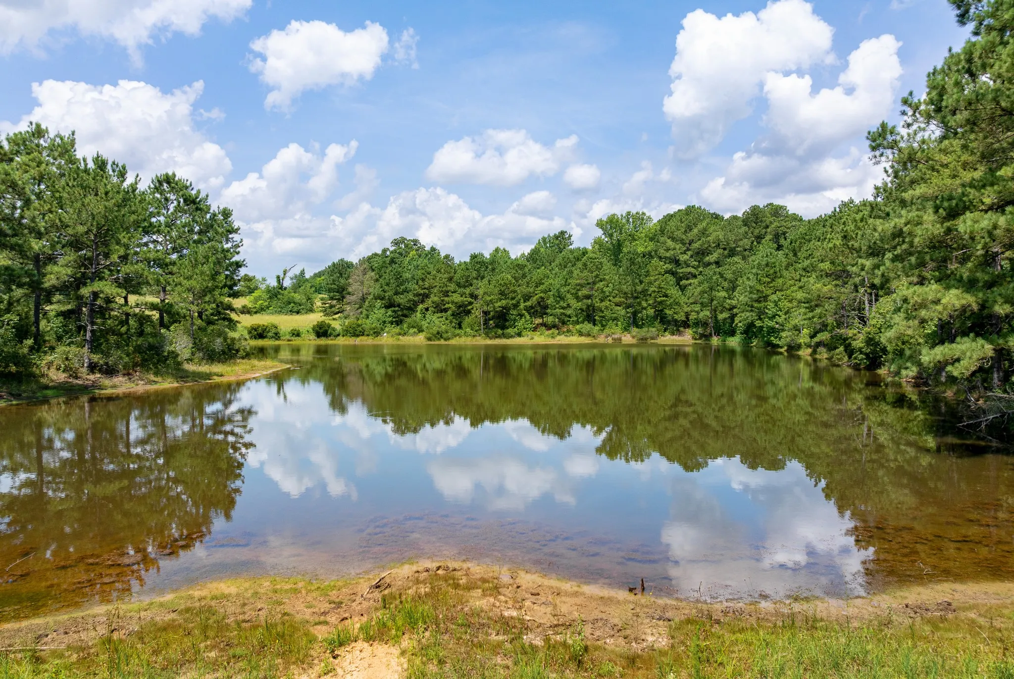 Farm For Sale in Upshur County , 8468 Hydrangea Road, Ore City, Texas 75683, 3 Bedroom, 2 Bathroom, 2 Garage spaces, 1,167 Sqft, built in 1985, mls#21372369, Real Estate Agent in Ore City, Homes For Sale in Upshur county, Homes For Sale in Ore City, Realtor in Ore City Texas, Real Estate Brokerage Independent Realty Texas, Luminita Cordes Realtor