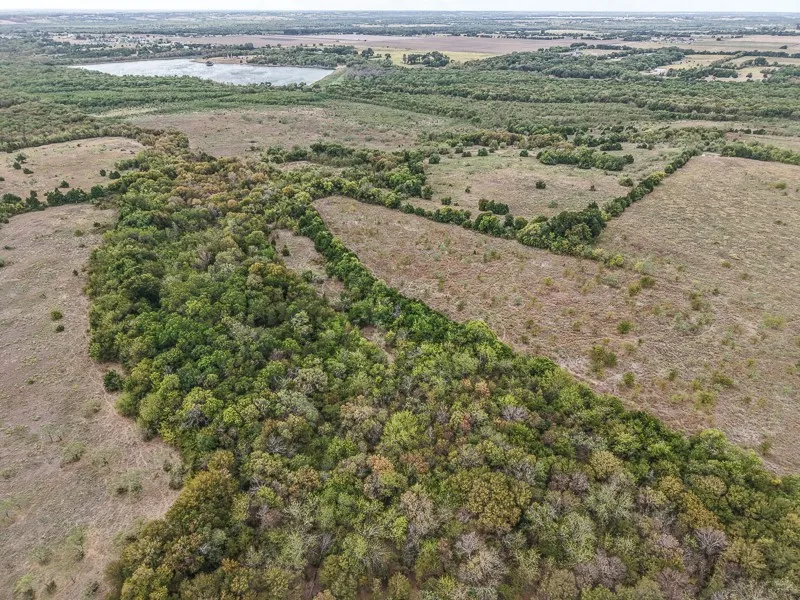 Unimproved Land For Sale in Ellis County , T353 Harper Road, Ferris, Texas 75125, 0, 0, Garage spaces, 0 Sqft, built in 2018, mls#21398841, Real Estate Agent in Ferris, Homes For Sale in Ellis county, Homes For Sale in Ferris, Realtor in Ferris Texas, Real Estate Brokerage Independent Realty Texas, Luminita Cordes Realtor
