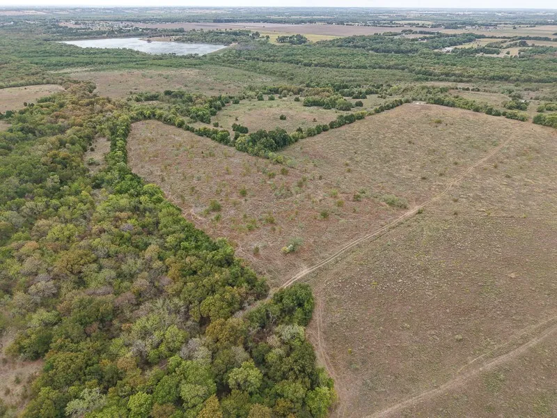 Unimproved Land For Sale in Ellis County , T353 Harper Road, Ferris, Texas 75125, 0, 0, Garage spaces, 0 Sqft, built in 2018, mls#21398841, Real Estate Agent in Ferris, Homes For Sale in Ellis county, Homes For Sale in Ferris, Realtor in Ferris Texas, Real Estate Brokerage Independent Realty Texas, Luminita Cordes Realtor