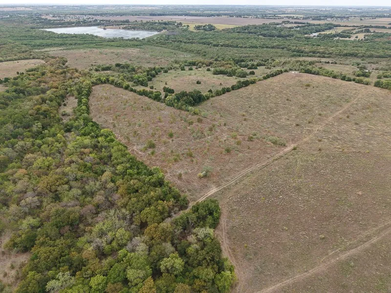 Unimproved Land For Sale in Ellis County , T353 Harper Road, Ferris, Texas 75125, 0, 0, Garage spaces, 0 Sqft, built in 2018, mls#21398841, Real Estate Agent in Ferris, Homes For Sale in Ellis county, Homes For Sale in Ferris, Realtor in Ferris Texas, Real Estate Brokerage Independent Realty Texas, Luminita Cordes Realtor