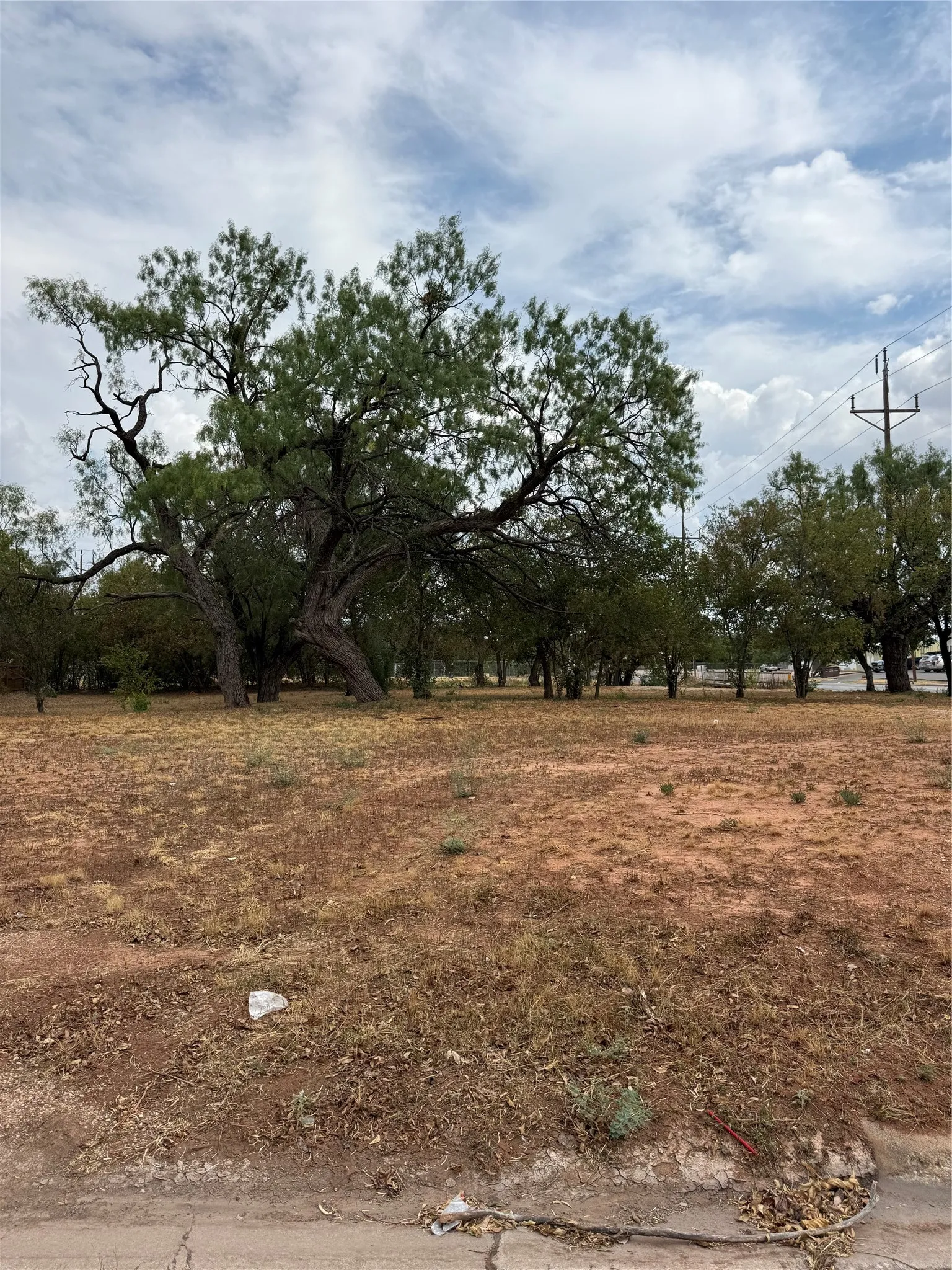 Unimproved Land For Sale in Taylor County , 2332 N 3rd Street, Abilene, Texas 79603, 0, 0, Garage spaces, 0 Sqft, built in 0, mls#21394827, Real Estate Agent in Abilene, Homes For Sale in Taylor county, Homes For Sale in Abilene, Realtor in Abilene Texas, Real Estate Brokerage Independent Realty Texas, Luminita Cordes Realtor